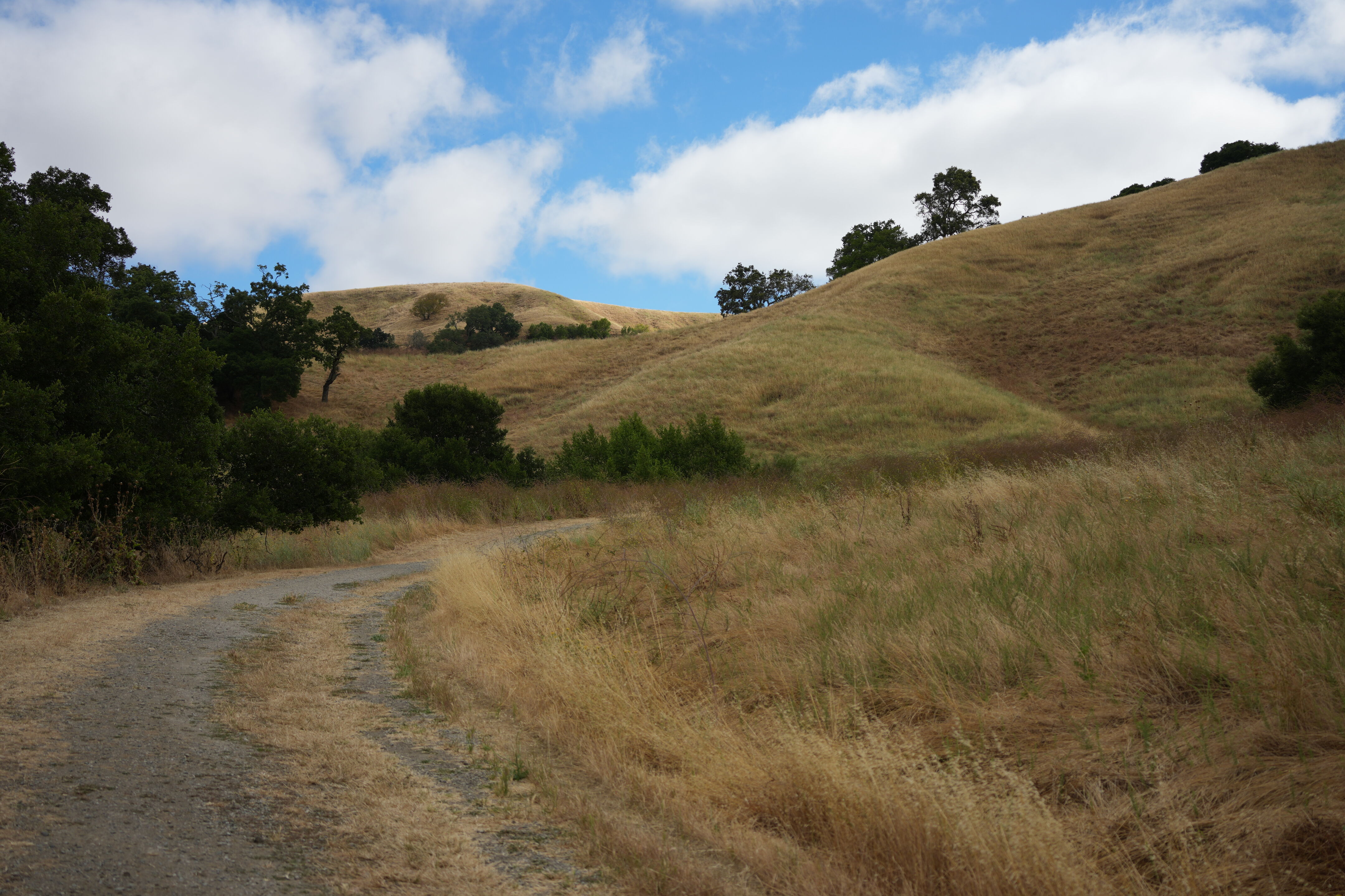 Briones Regional Park