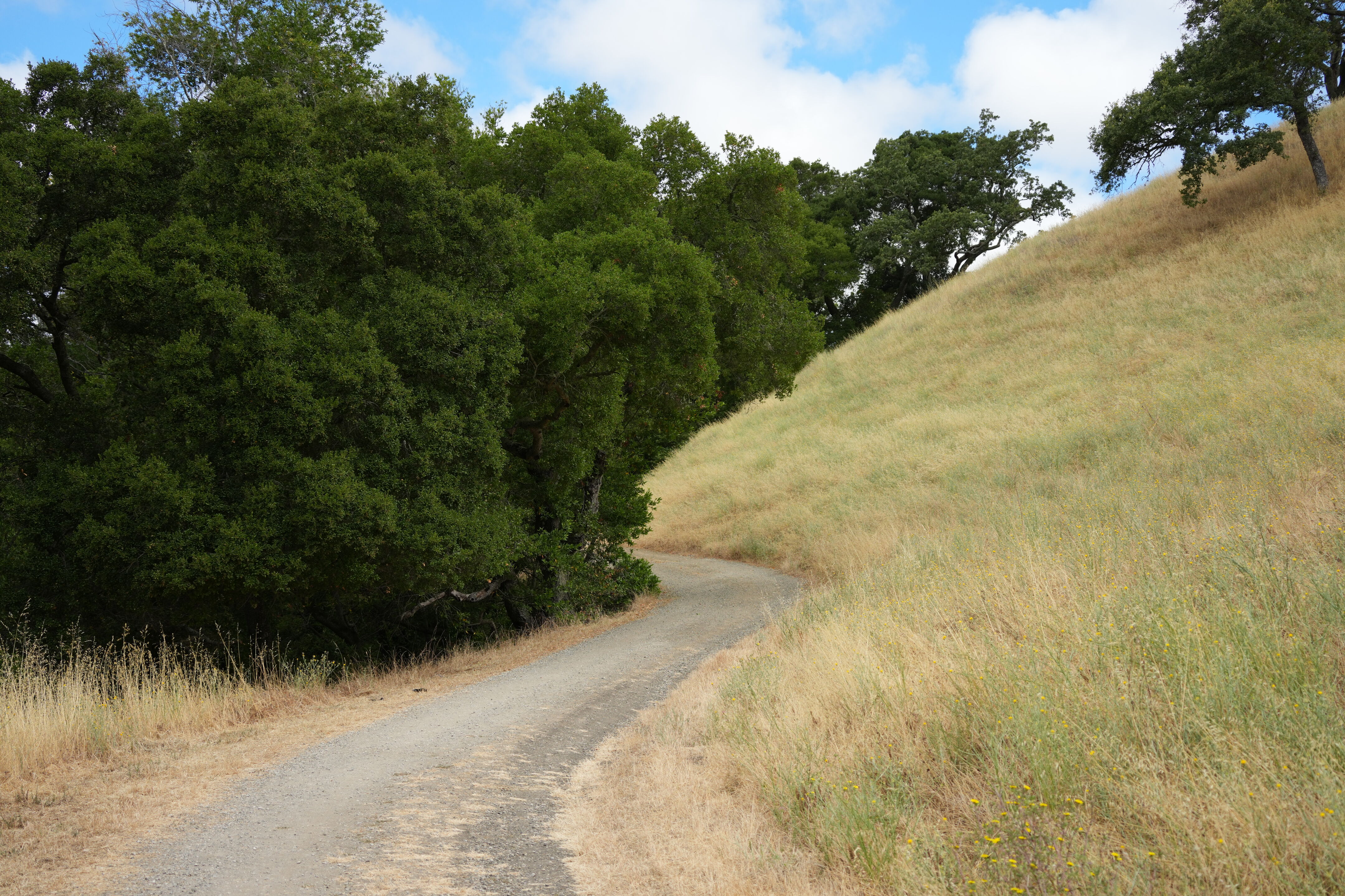 Briones Regional Park