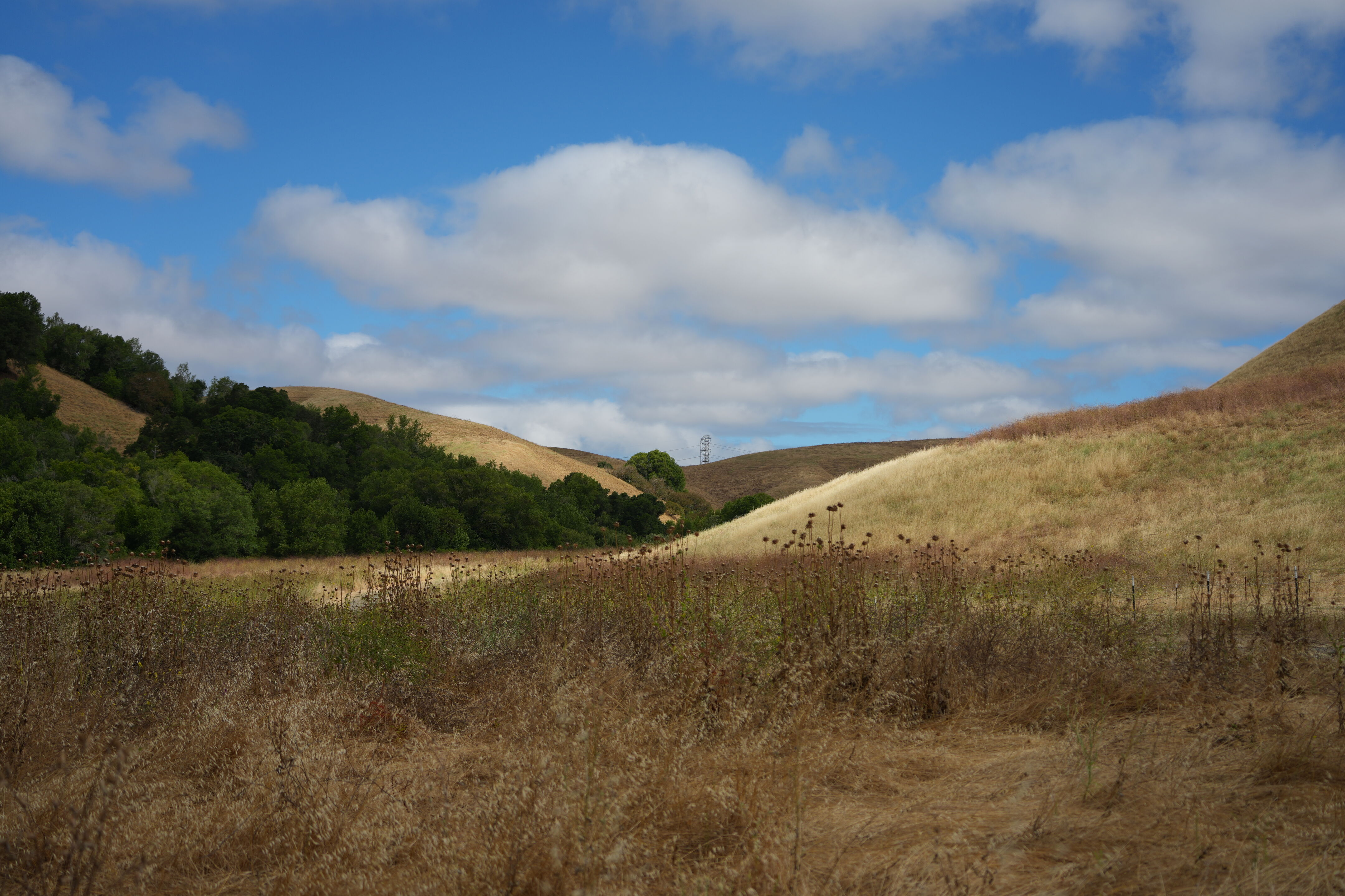 Briones Regional Park