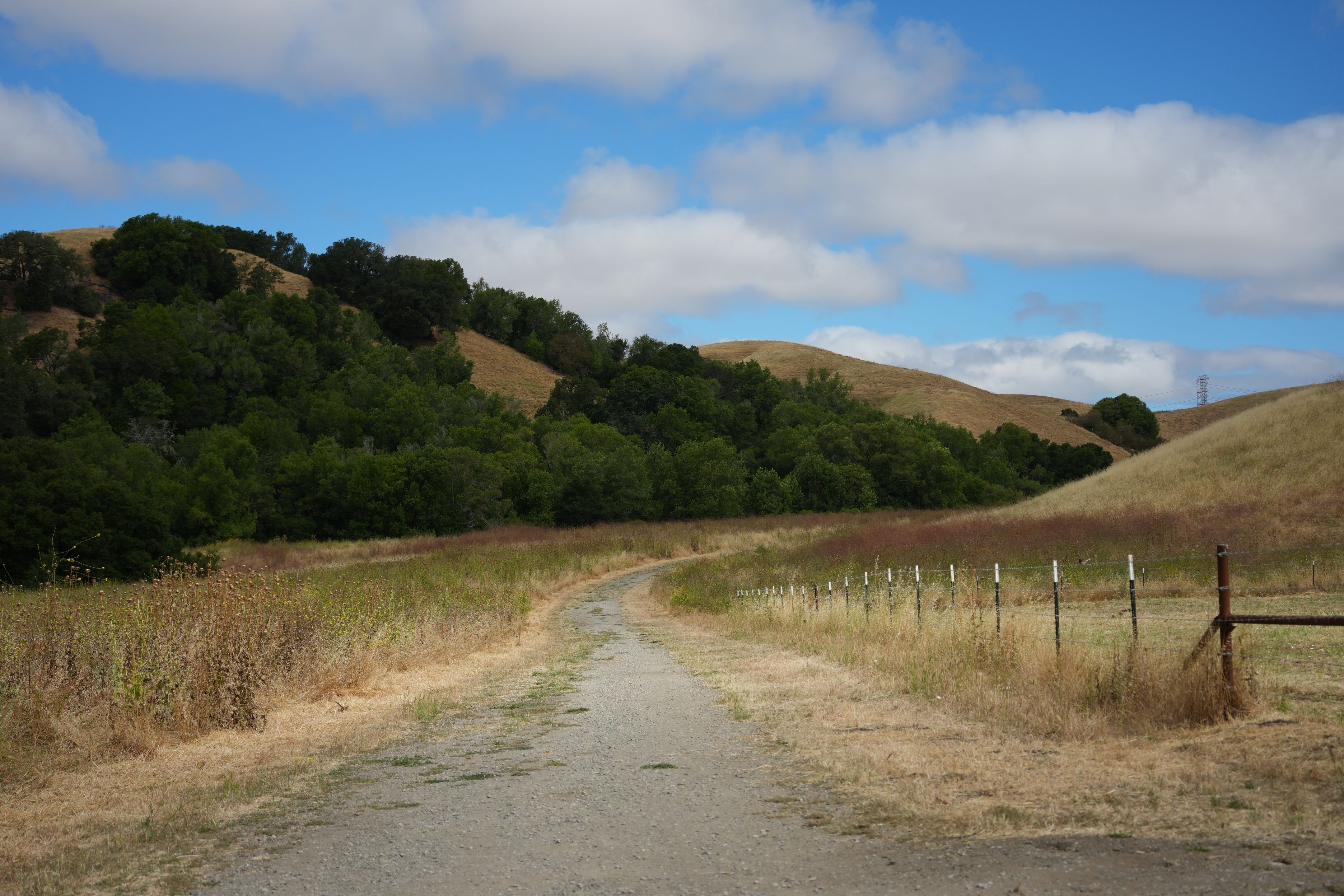 Briones Regional Park