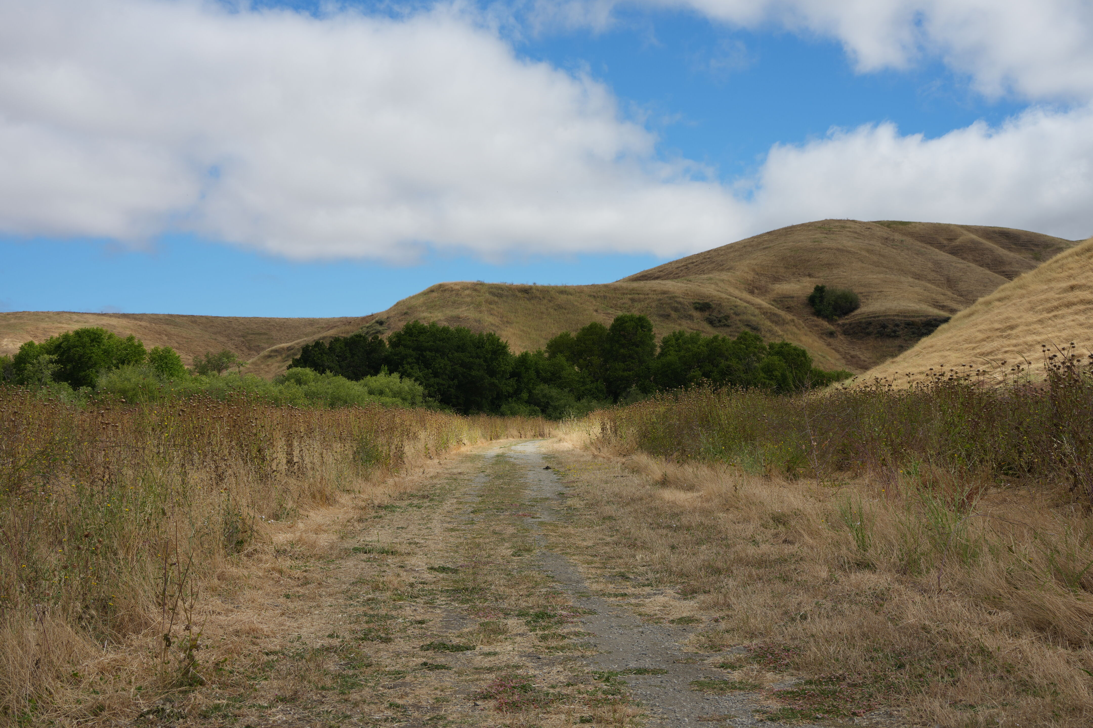 Briones Regional Park