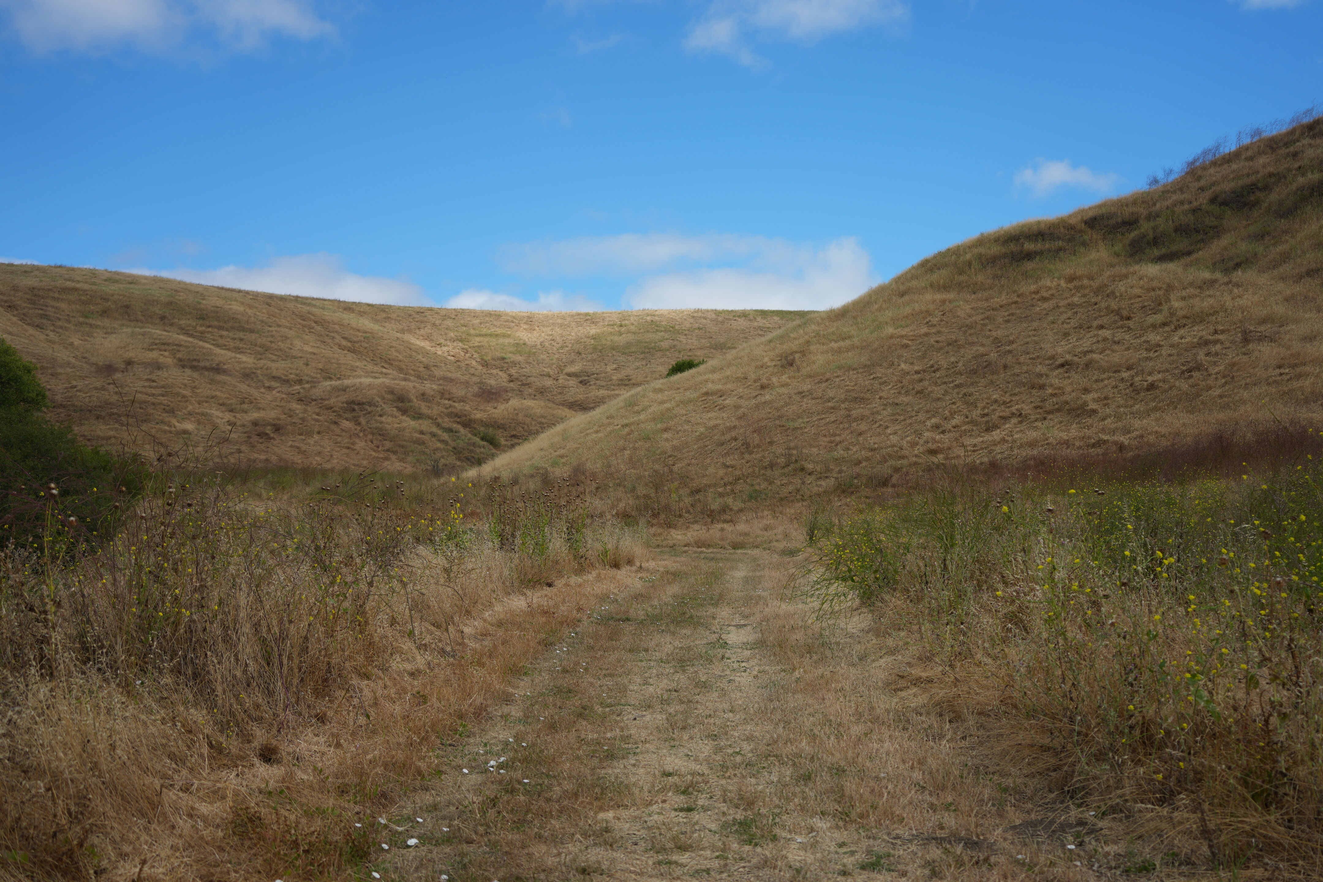 Briones Regional Park