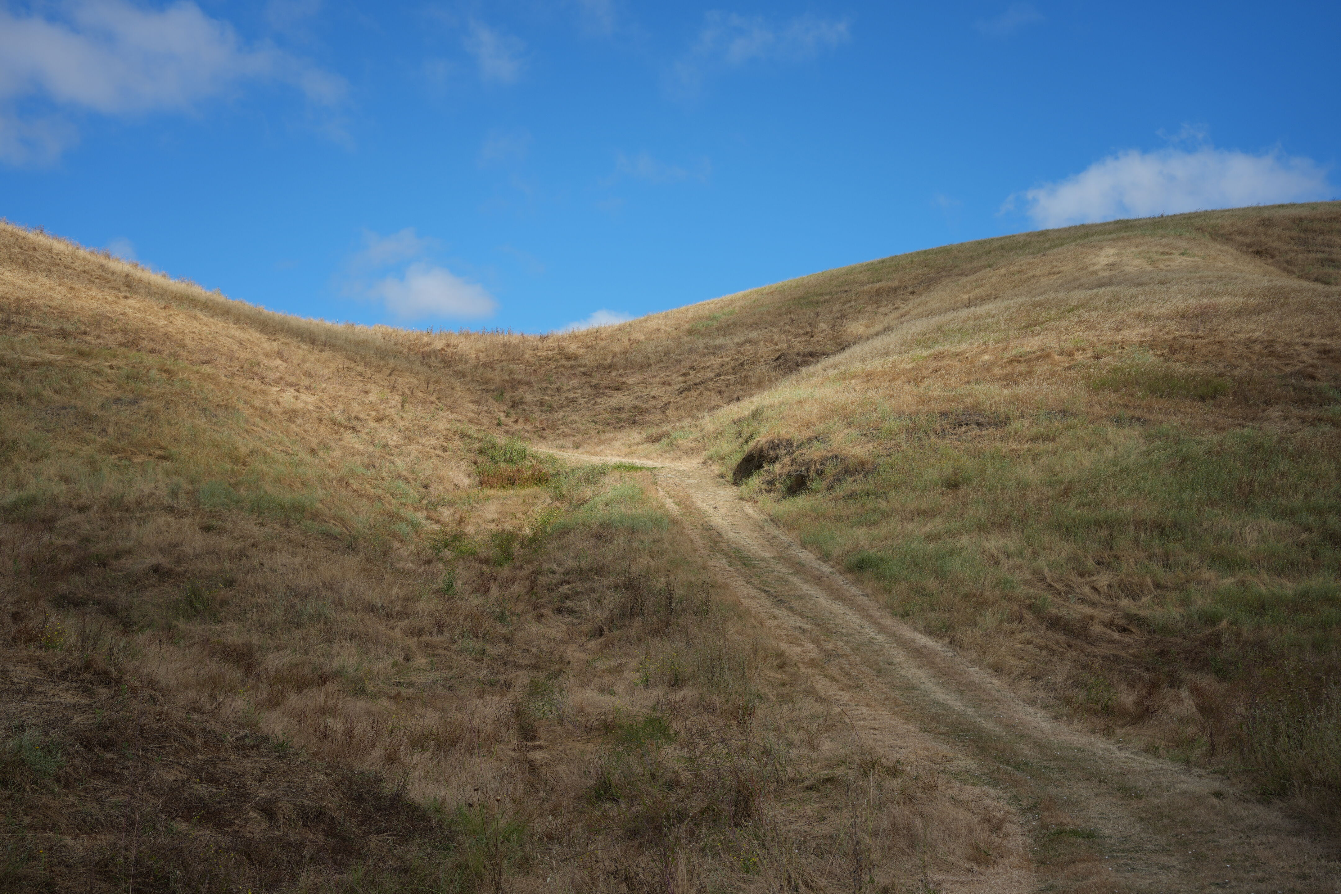 Briones Regional Park