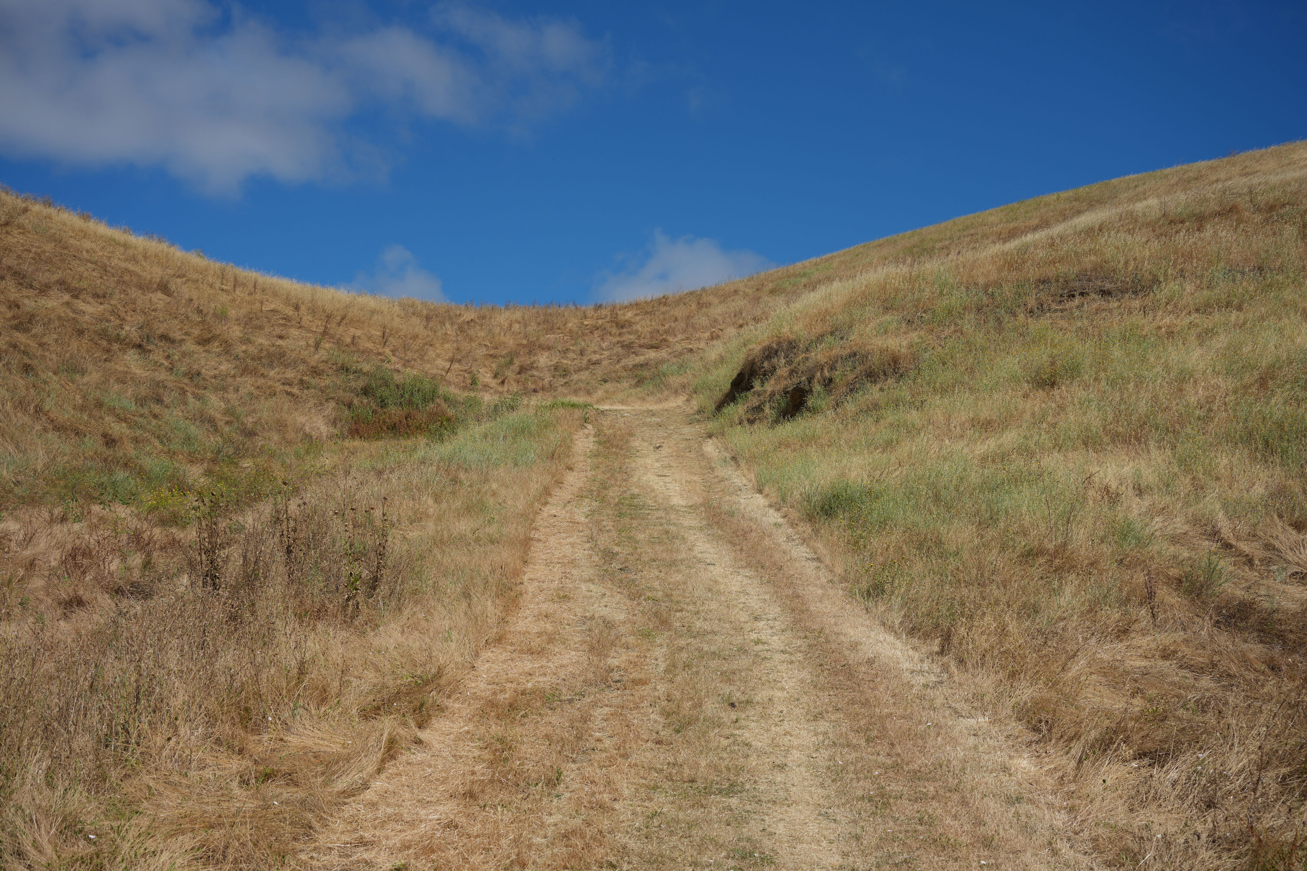 Briones Regional Park