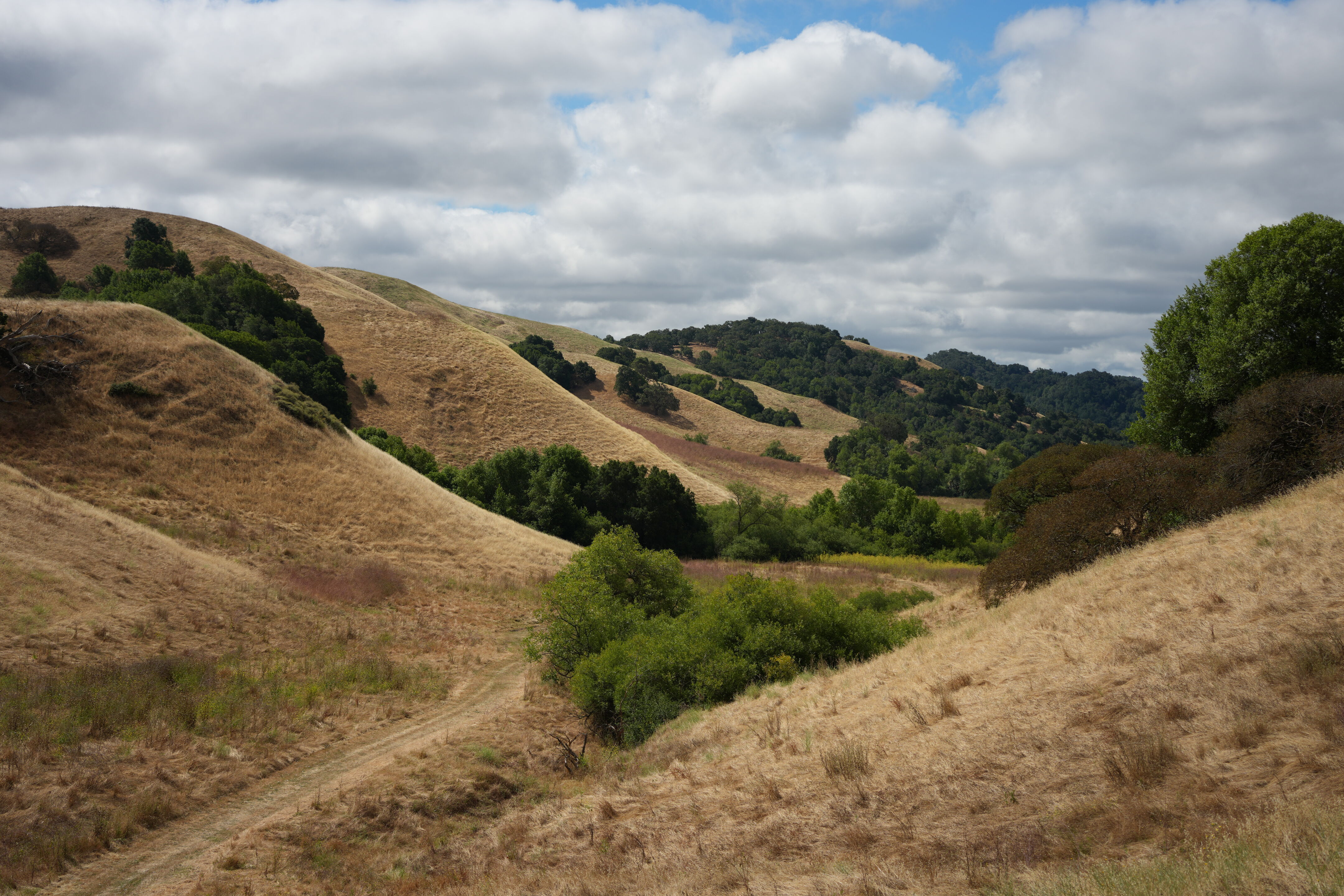 Briones Regional Park