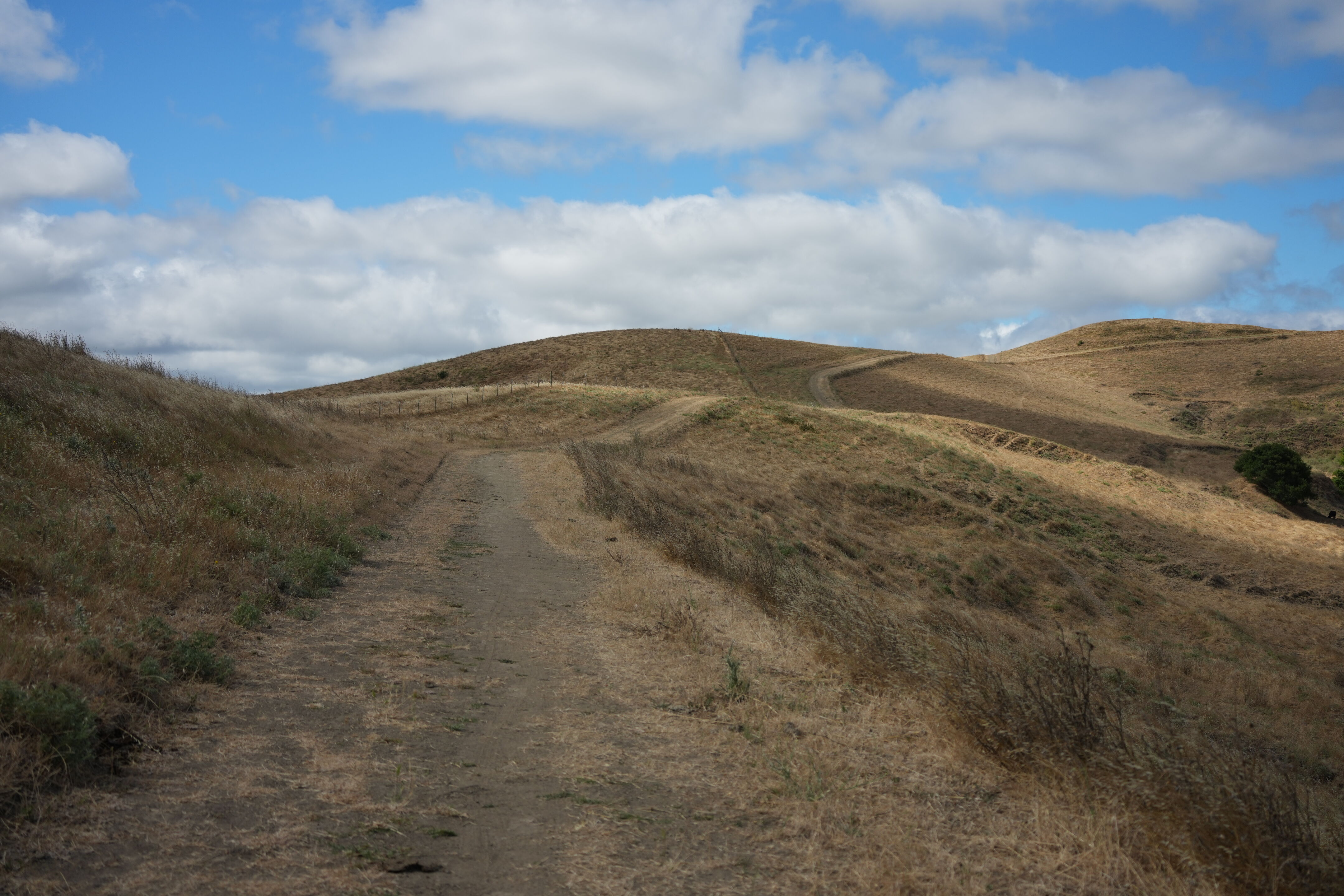 Briones Regional Park