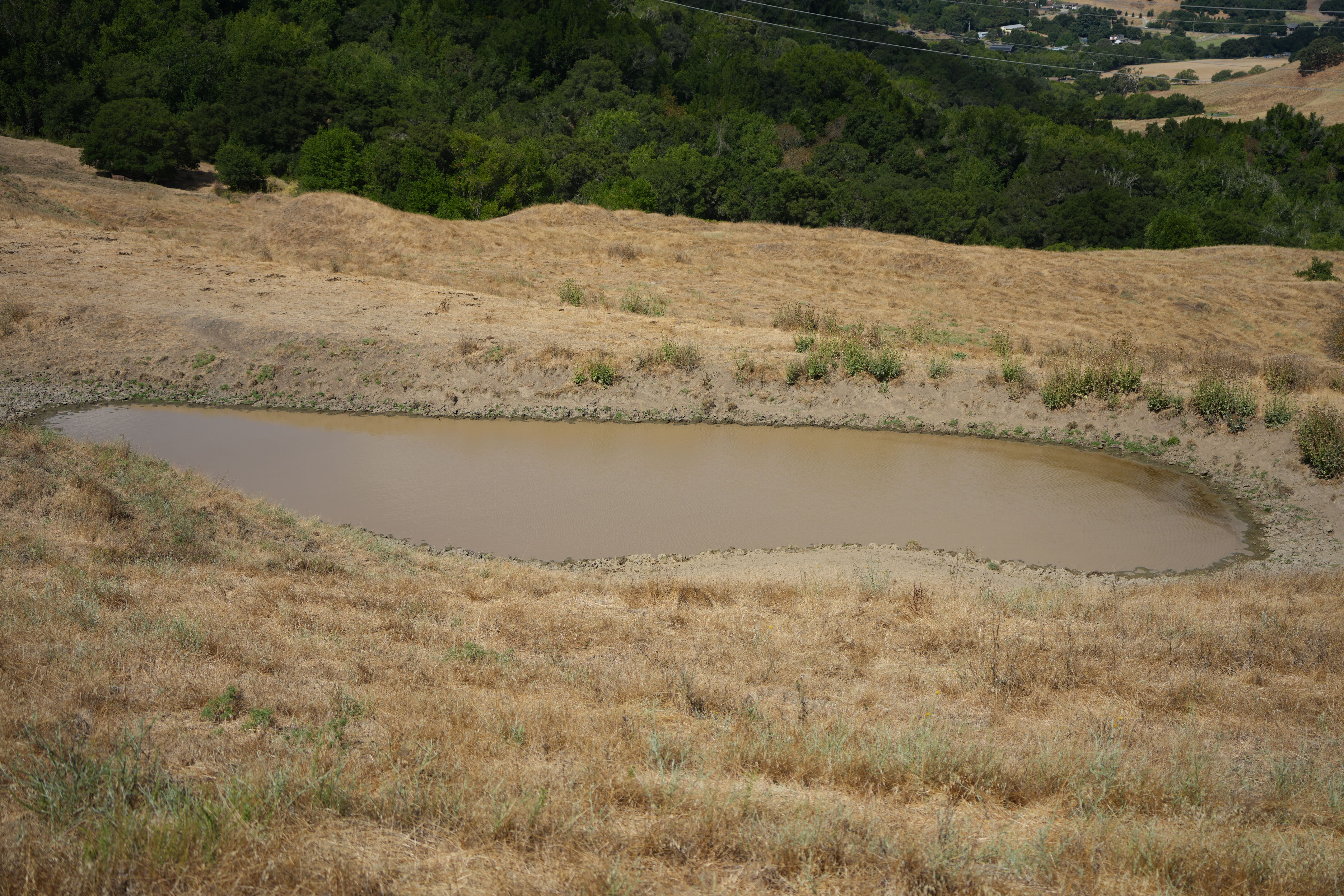 Briones Regional Park