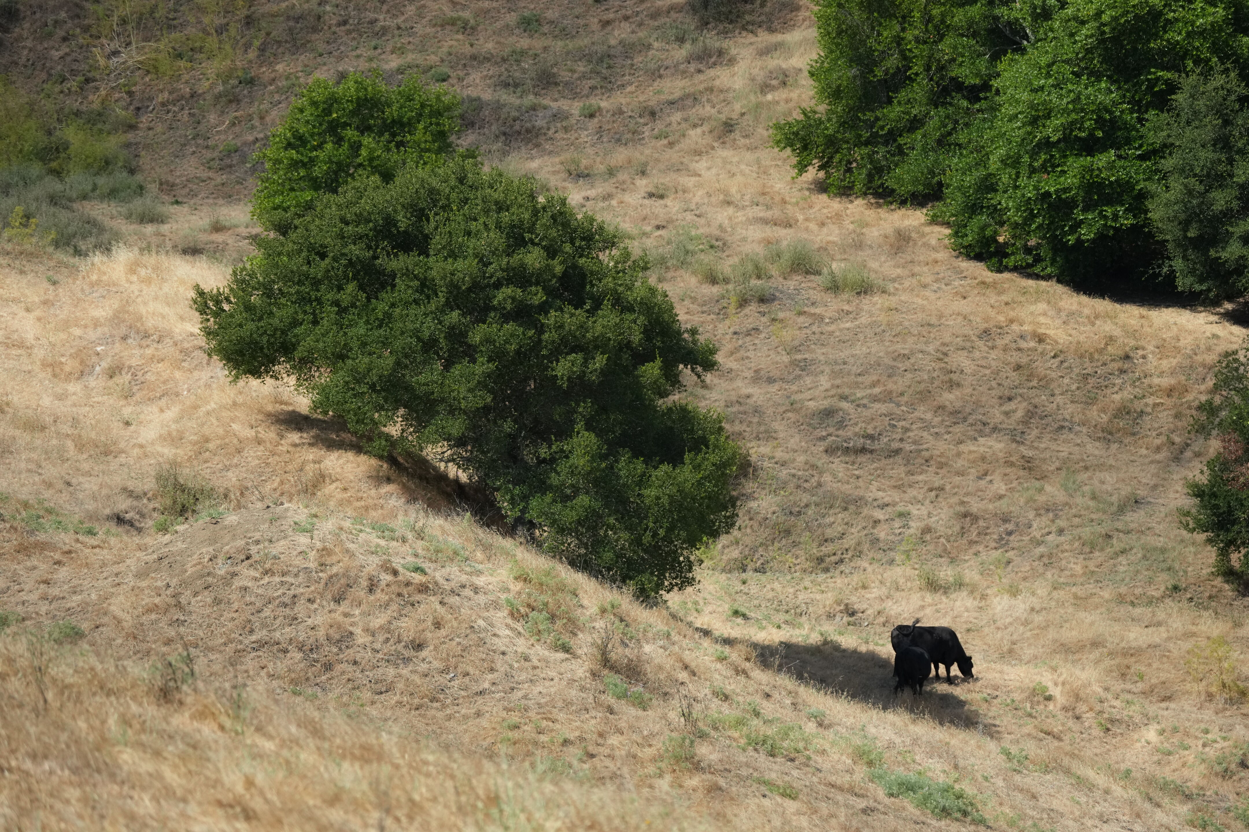 Briones Regional Park
