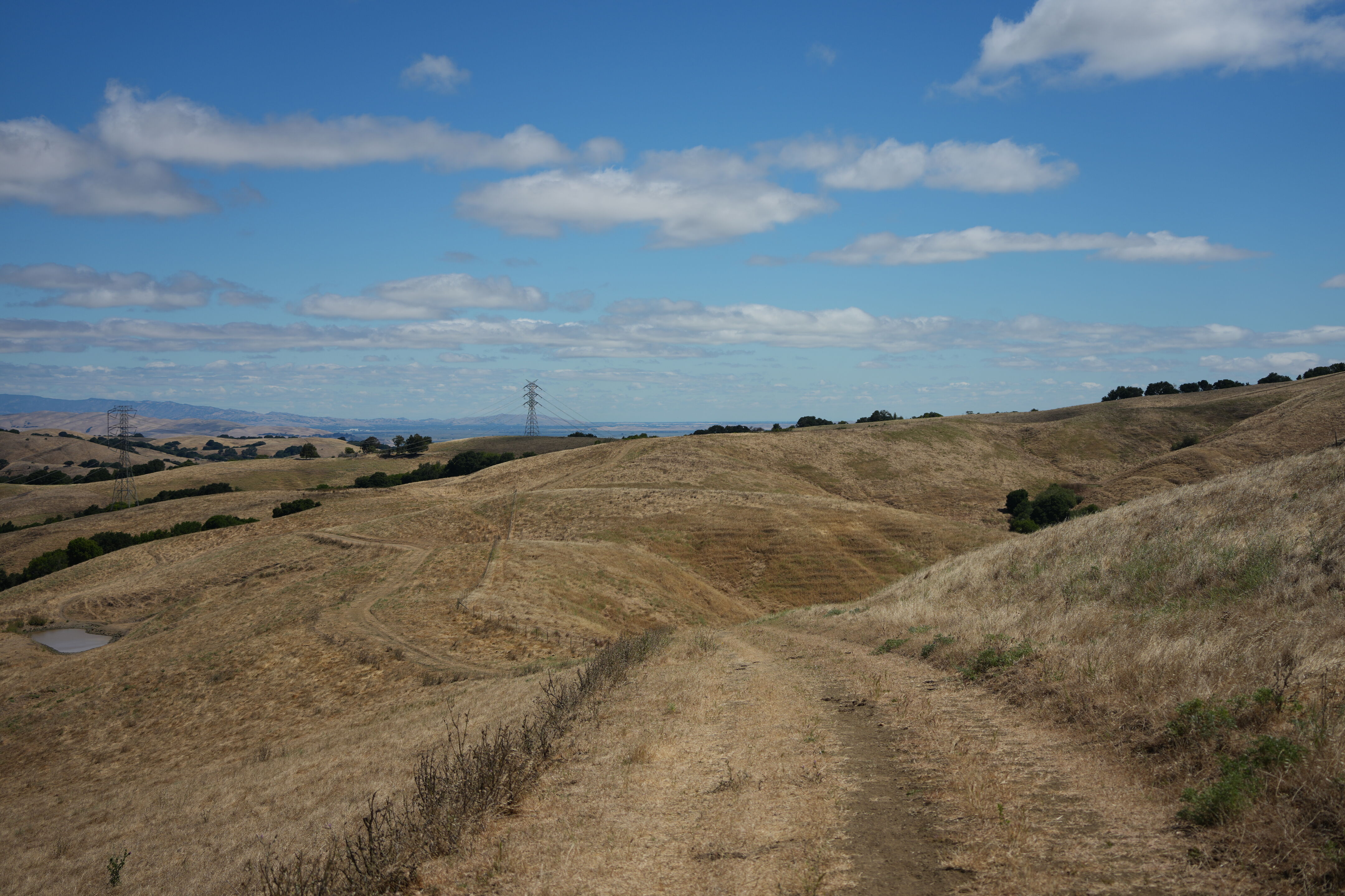 Briones Regional Park