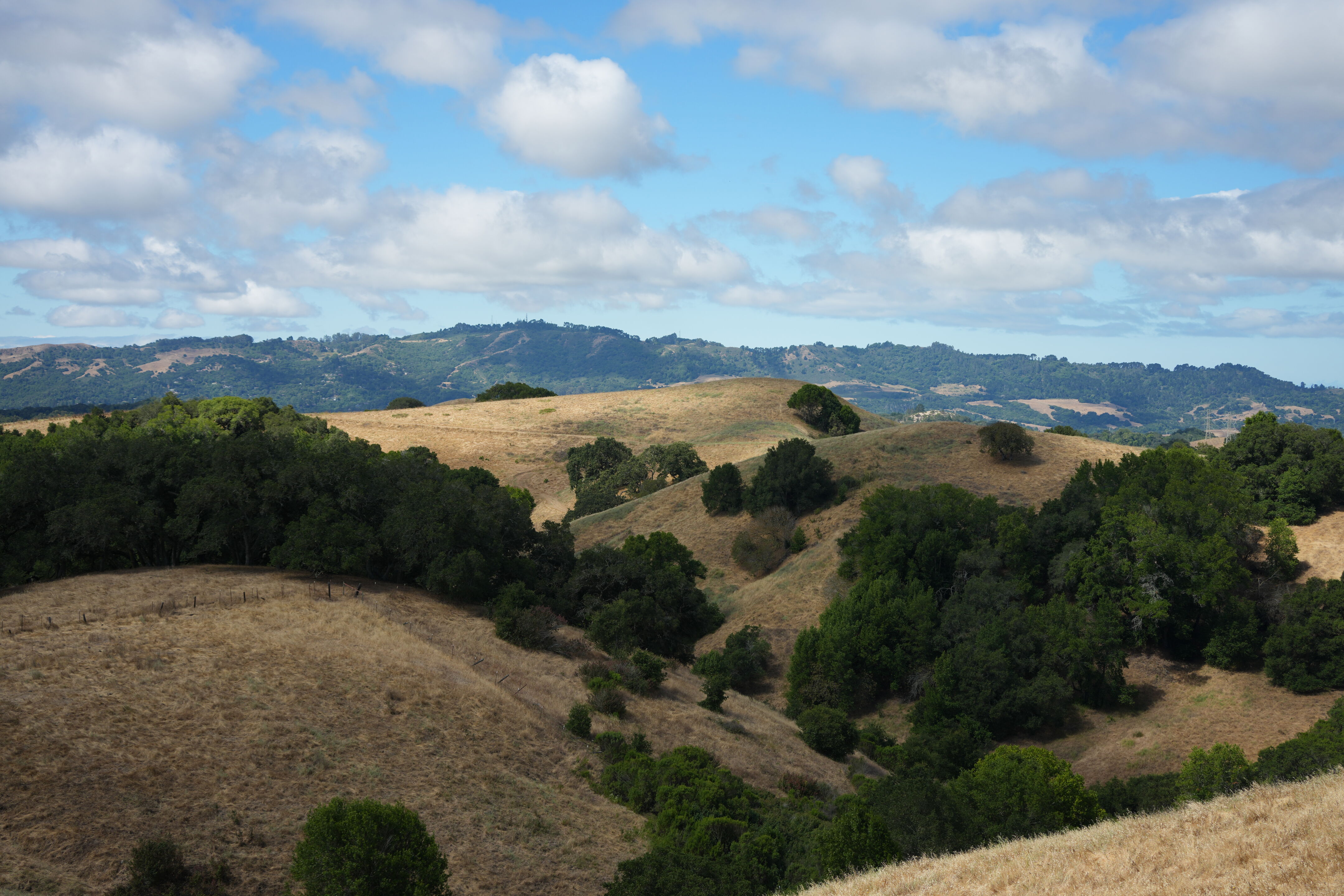 Briones Regional Park