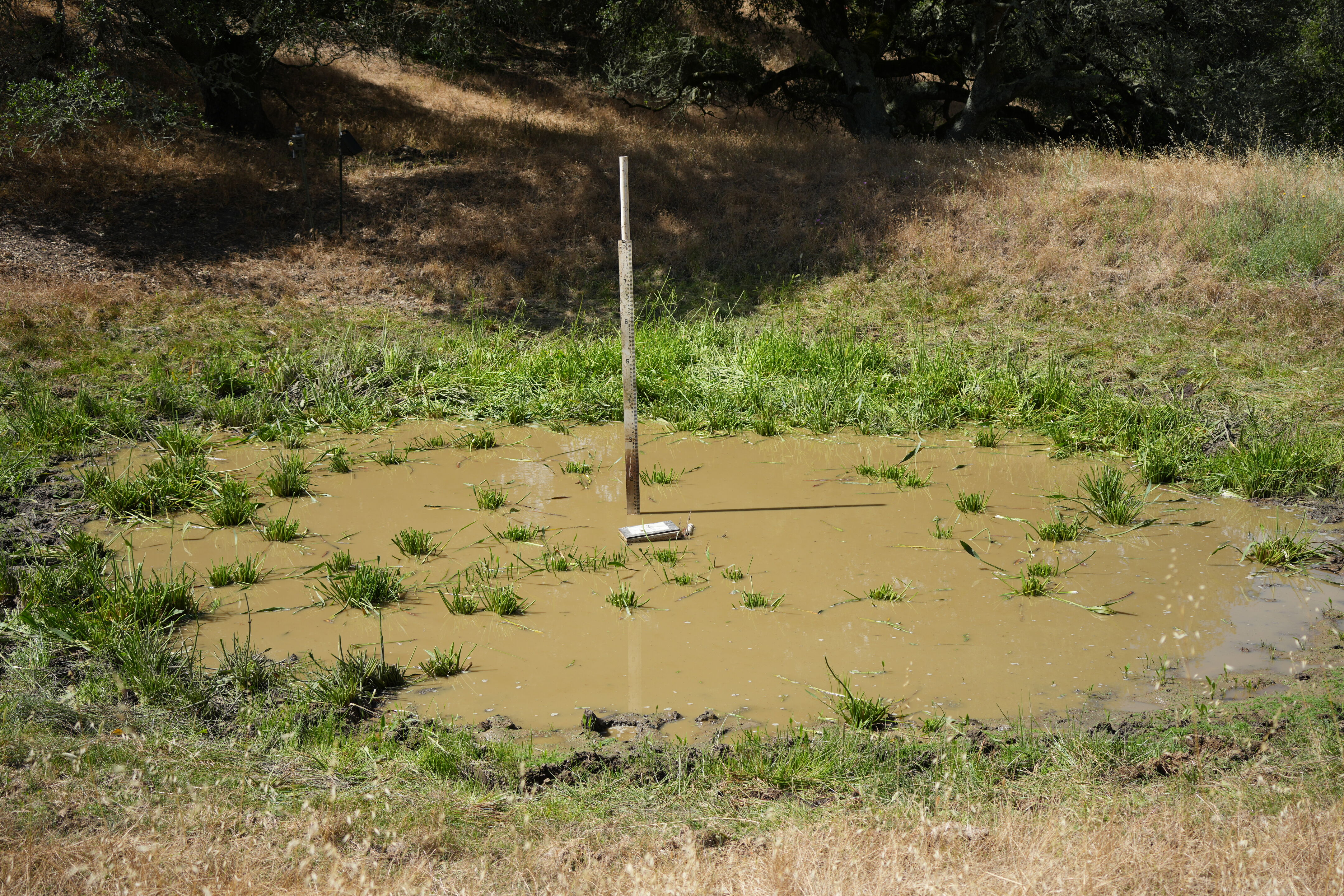 Briones Regional Park
