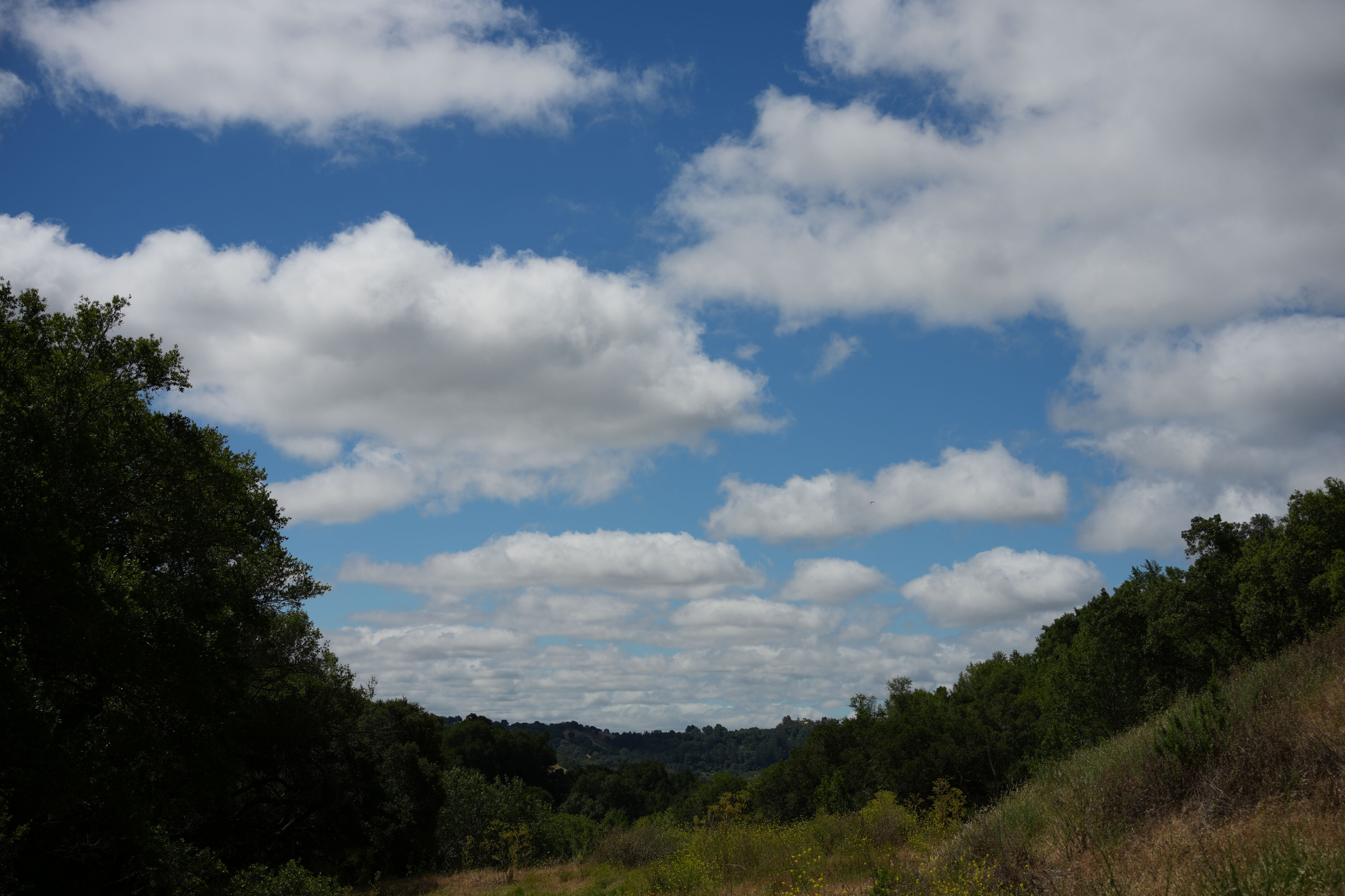 Briones Regional Park