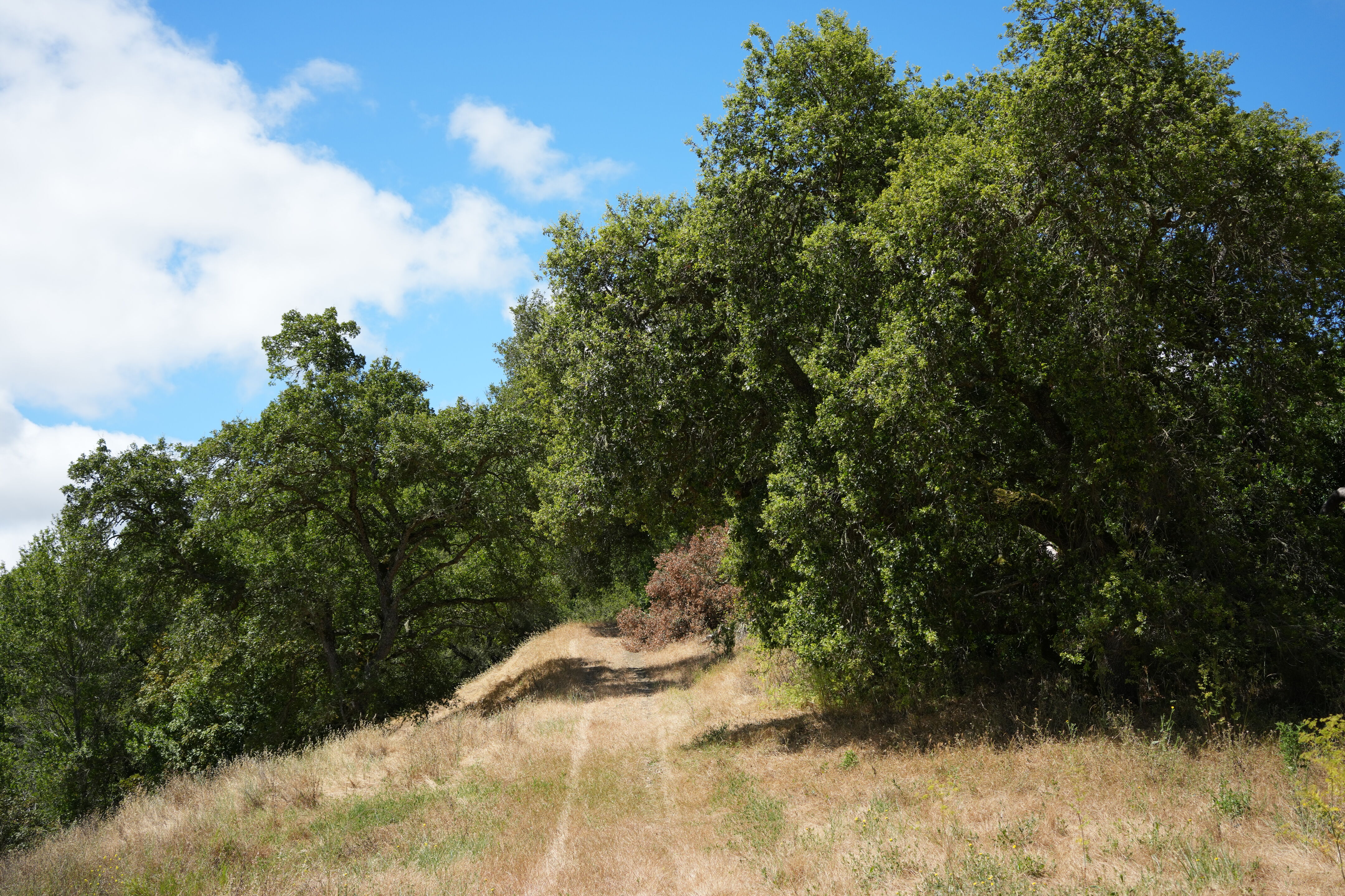 Briones Regional Park