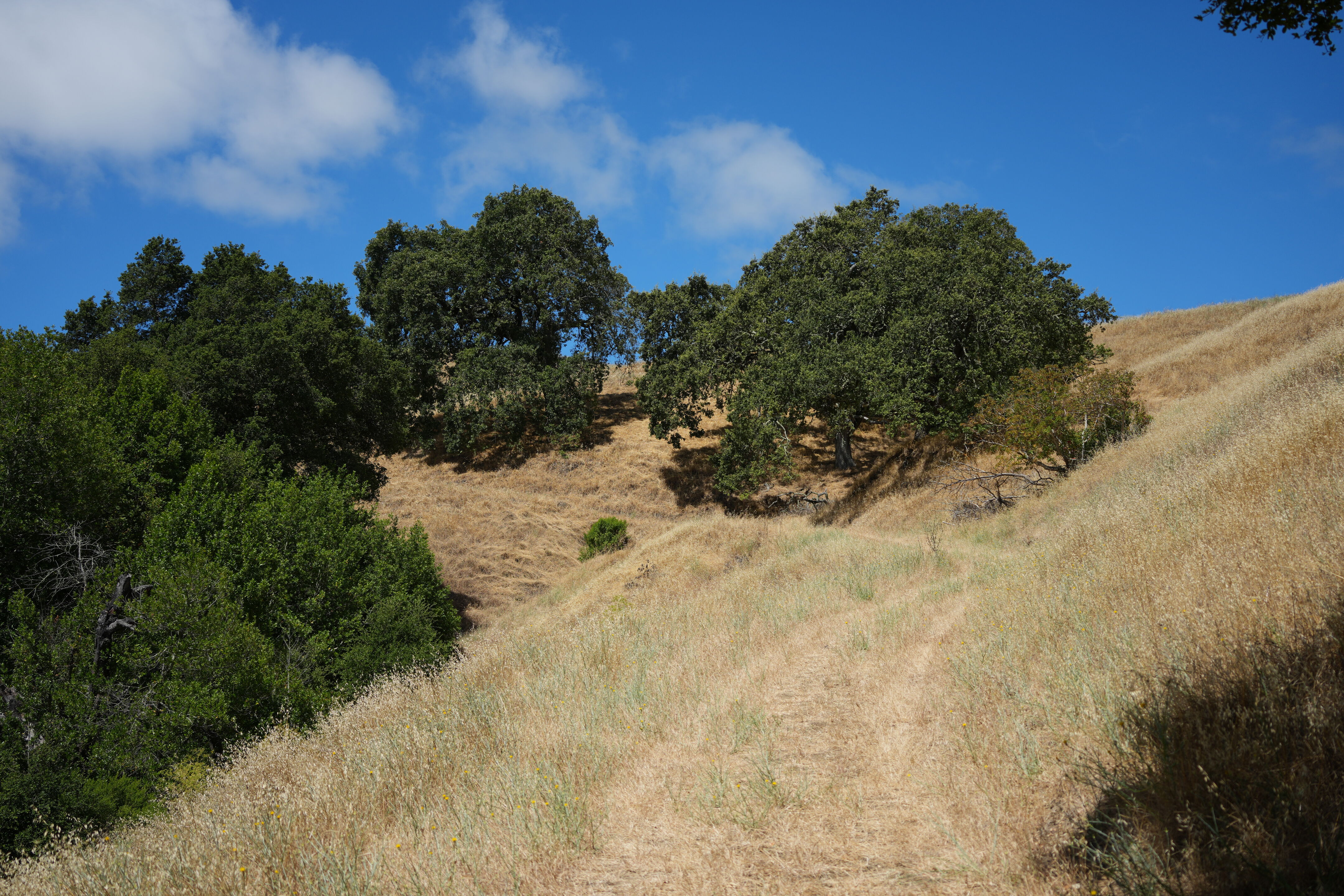 Briones Regional Park