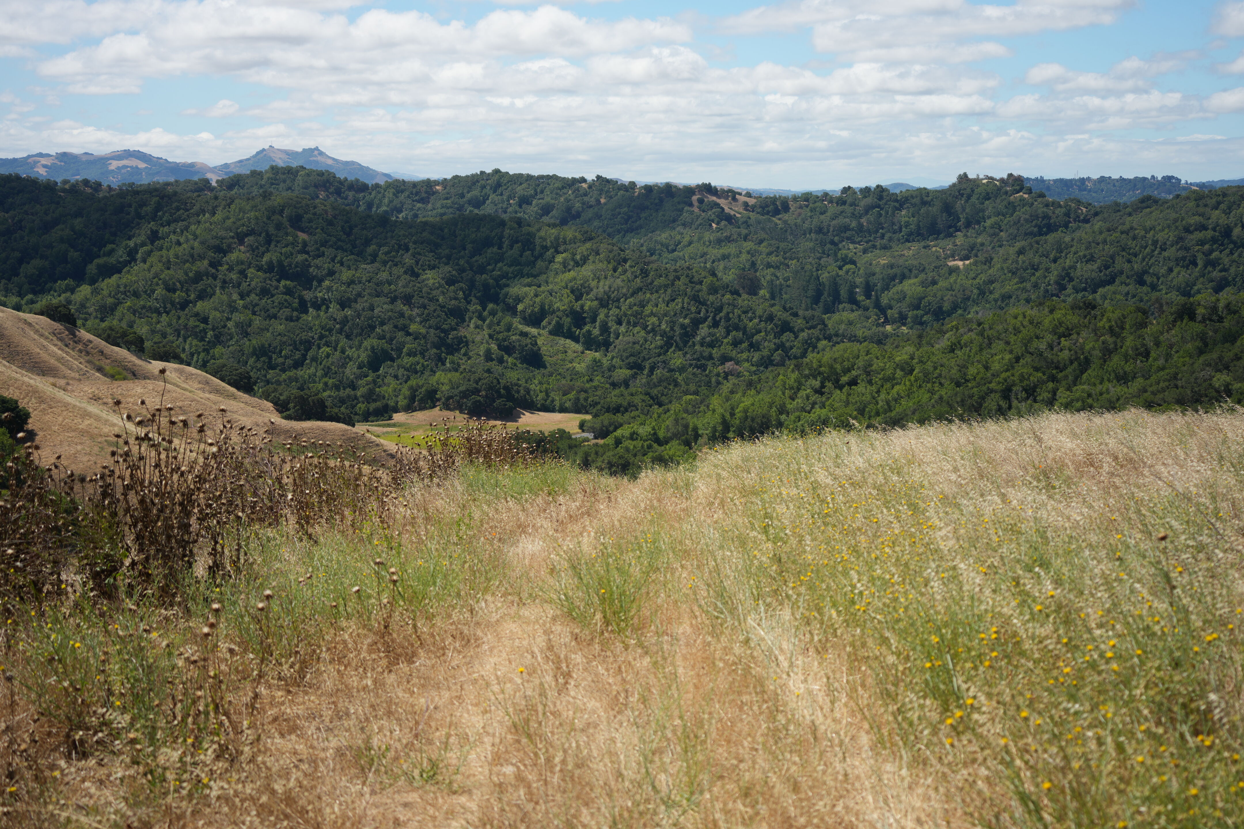 Briones Regional Park
