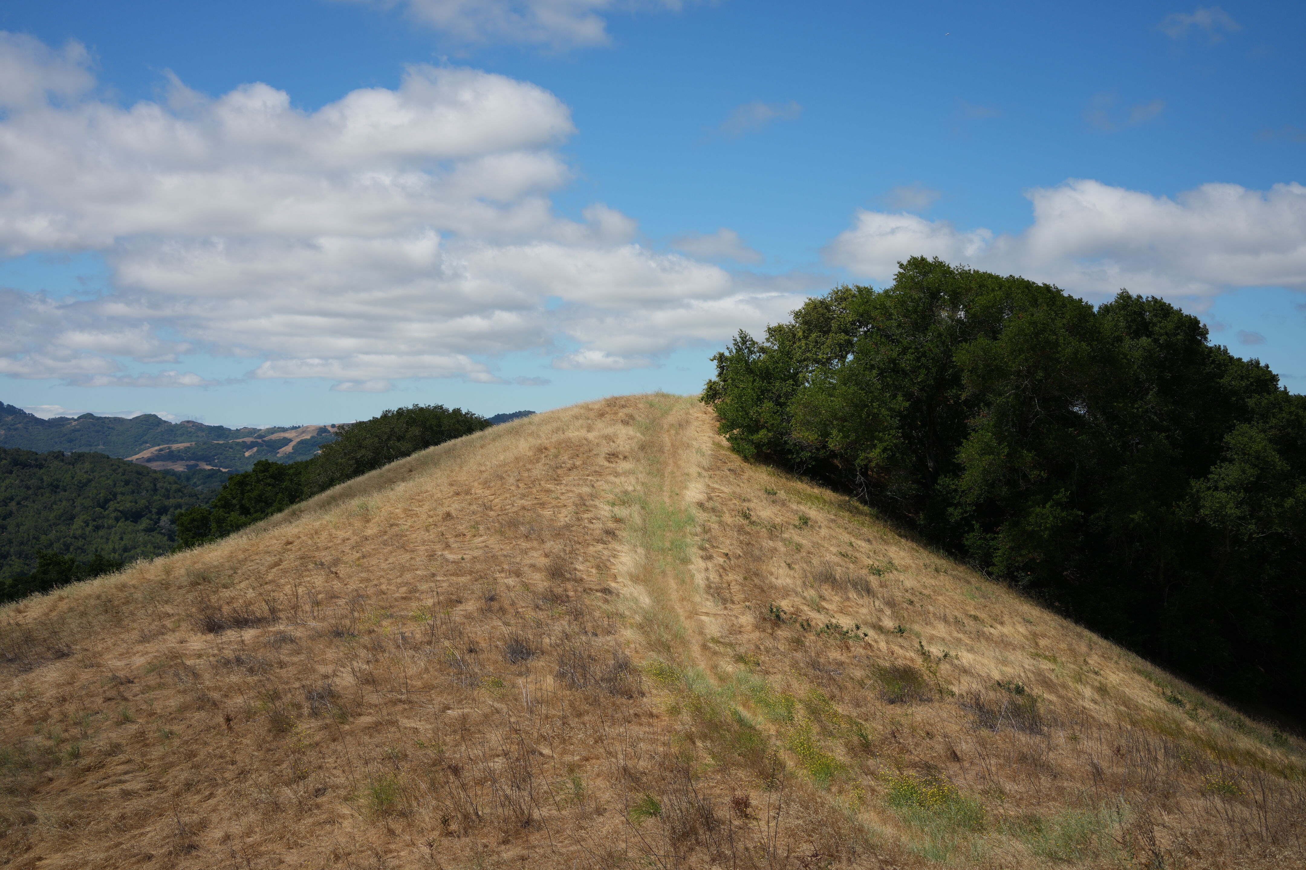 Briones Regional Park