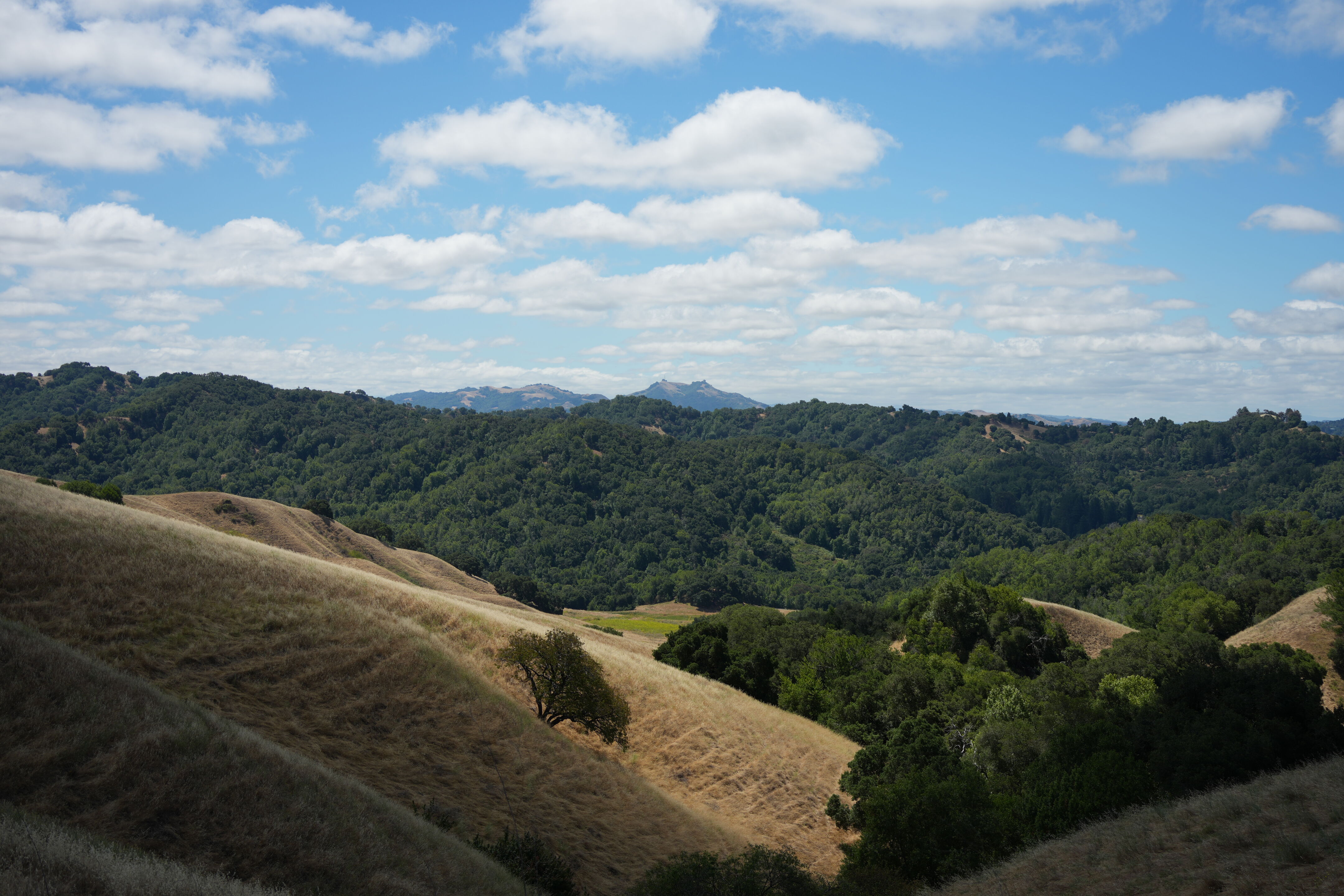 Briones Regional Park