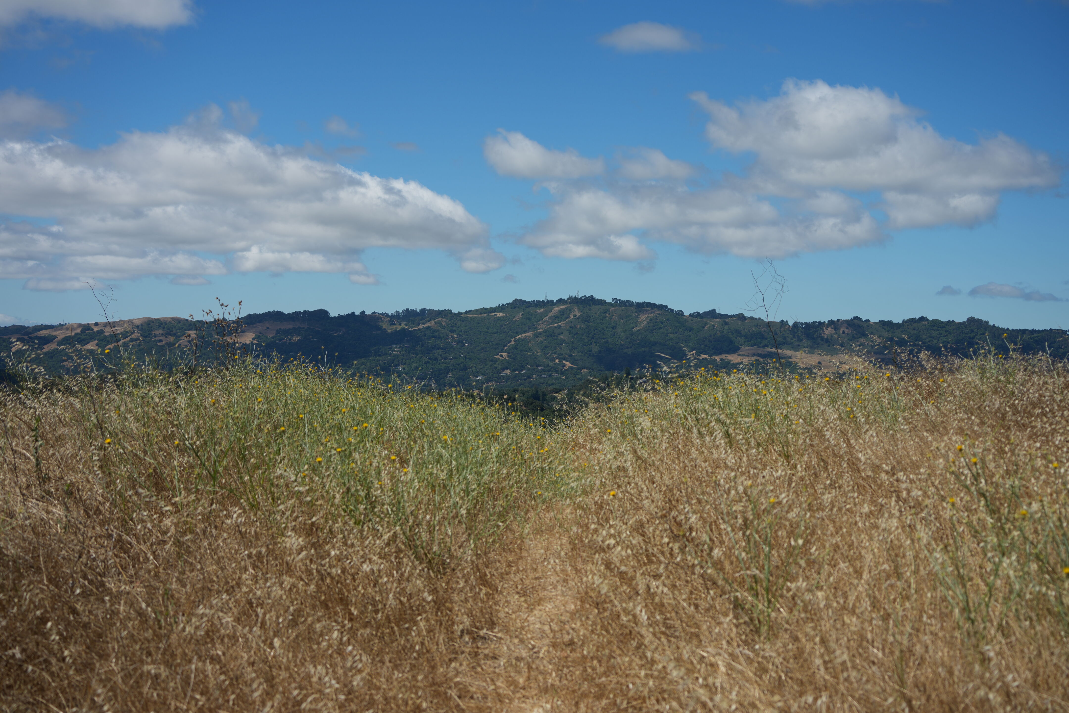 Briones Regional Park