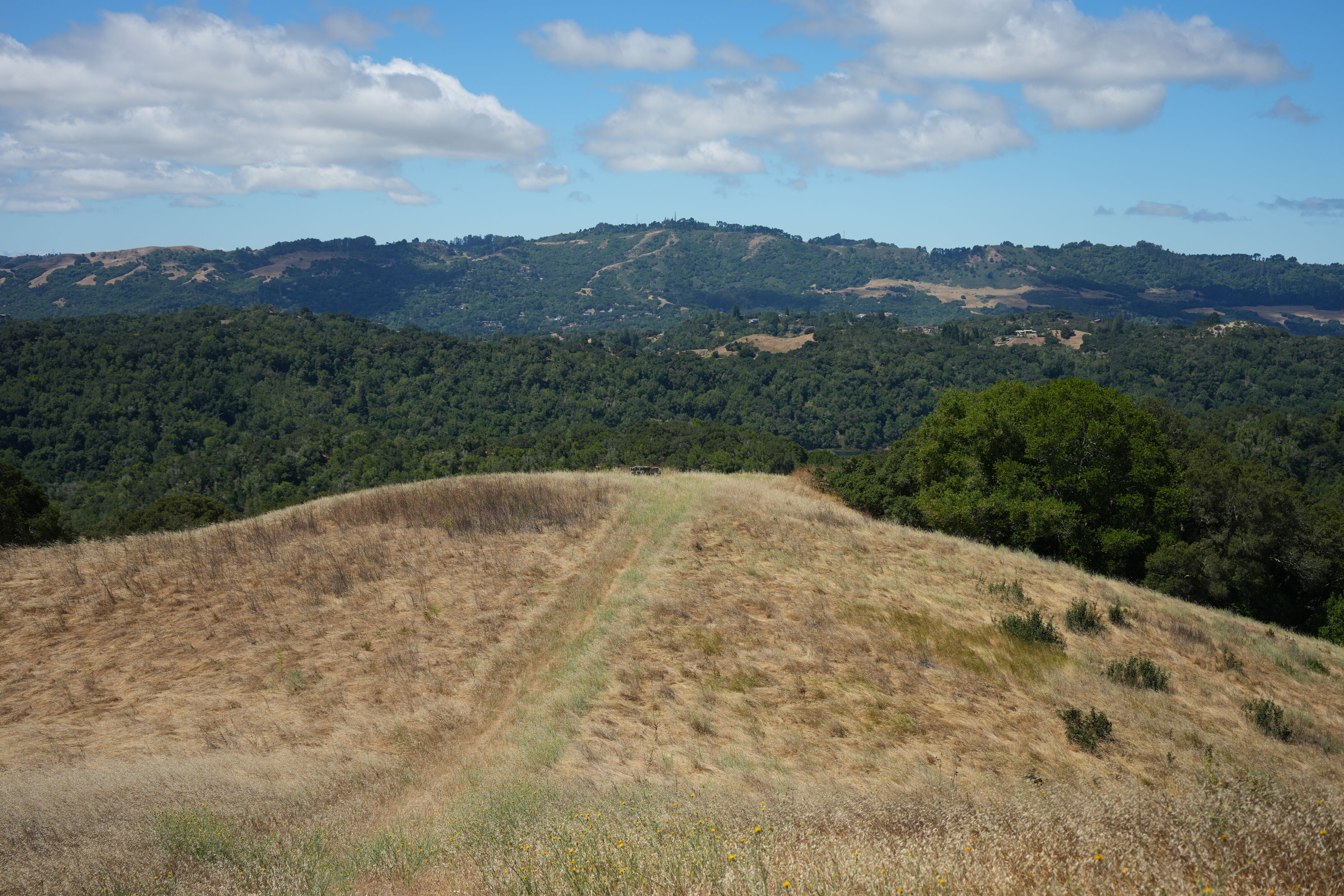 Briones Regional Park