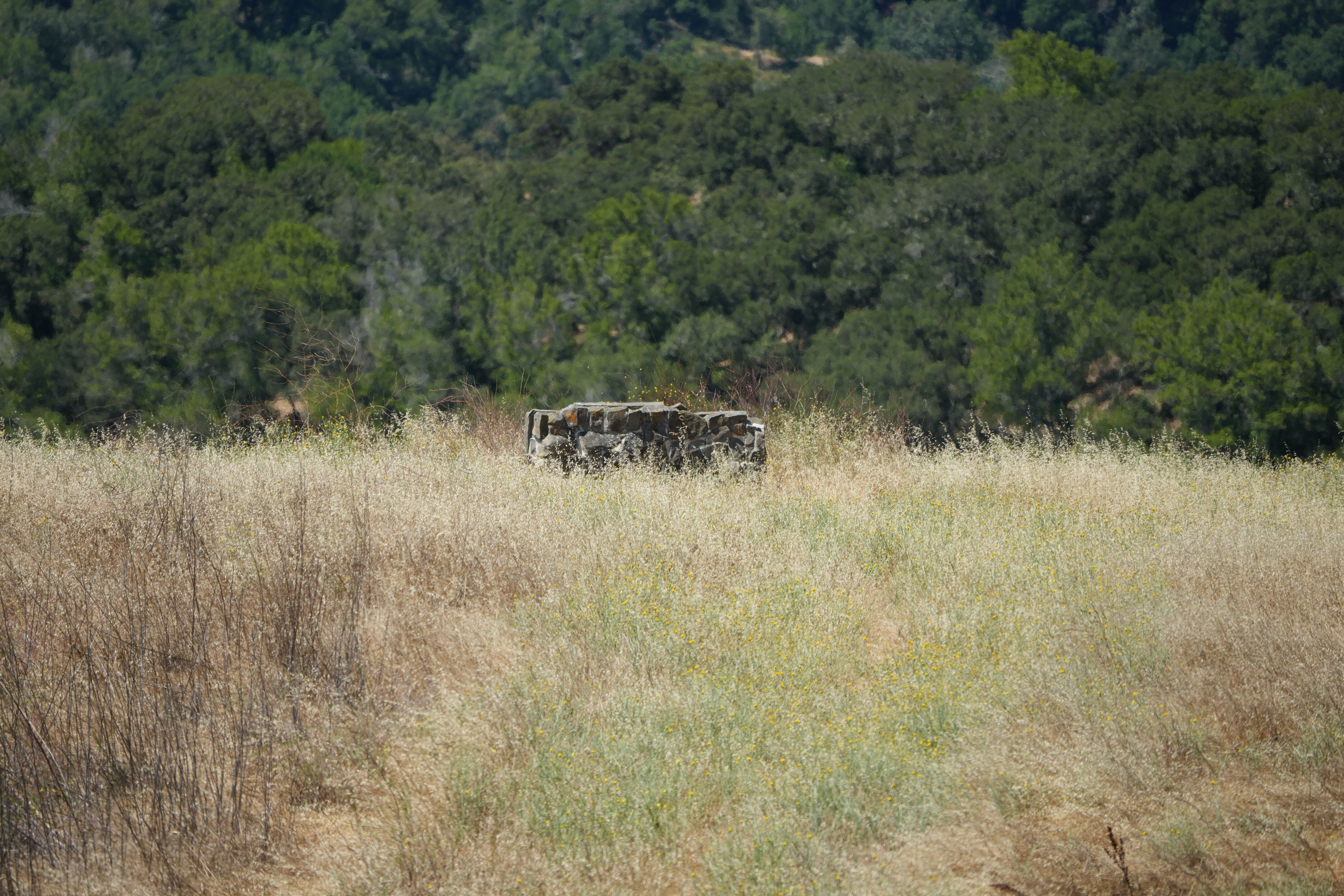 Briones Regional Park