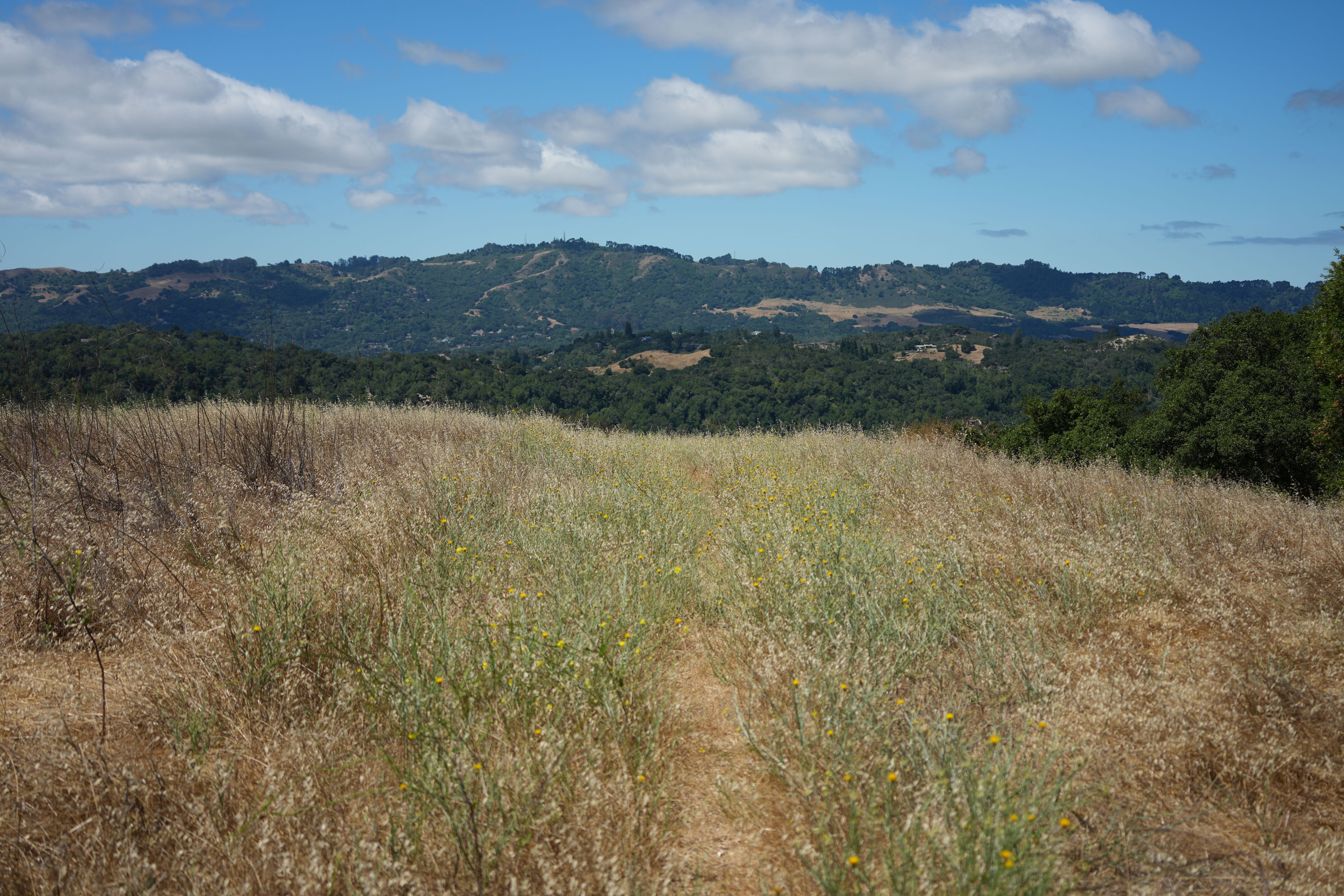 Briones Regional Park