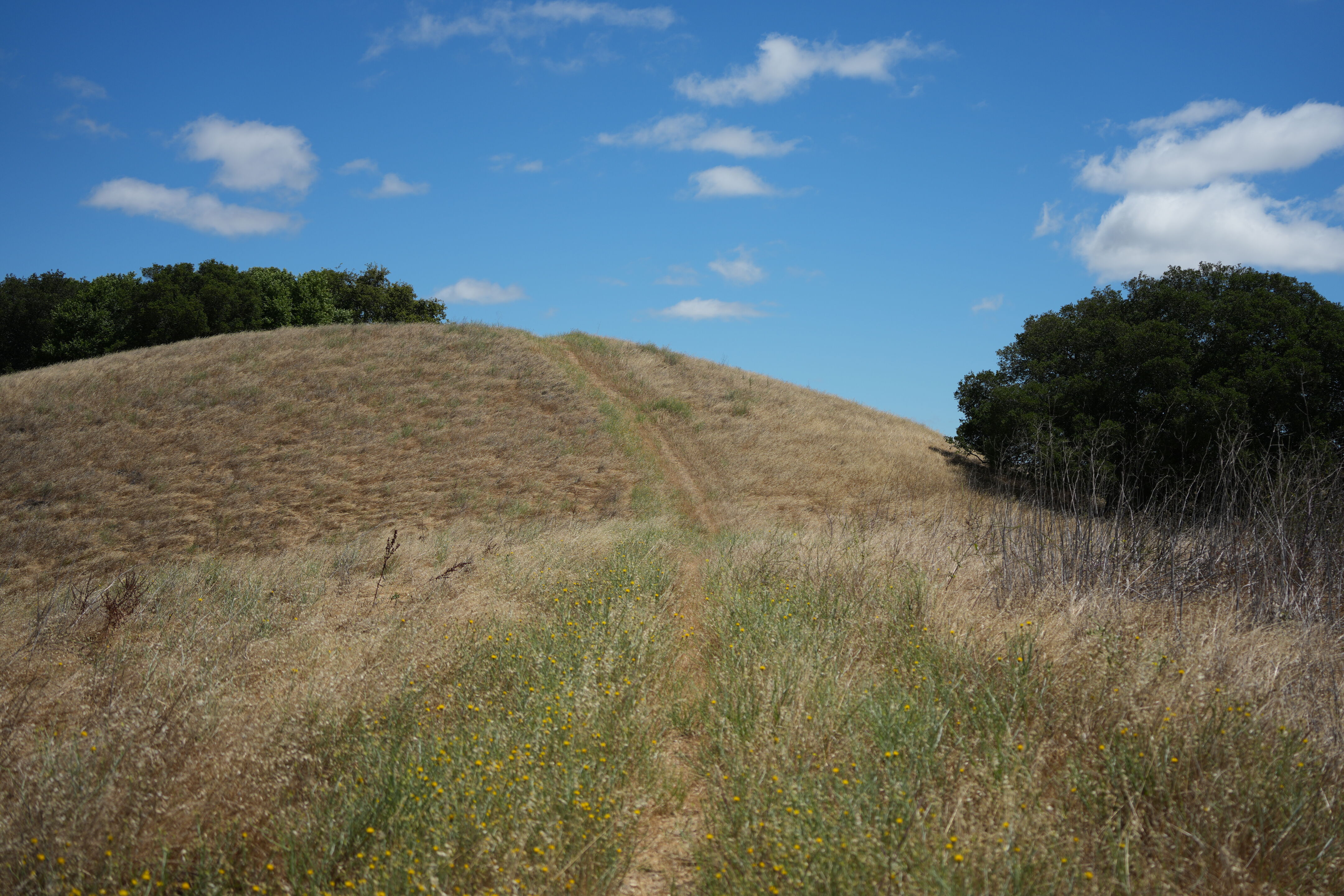 Briones Regional Park