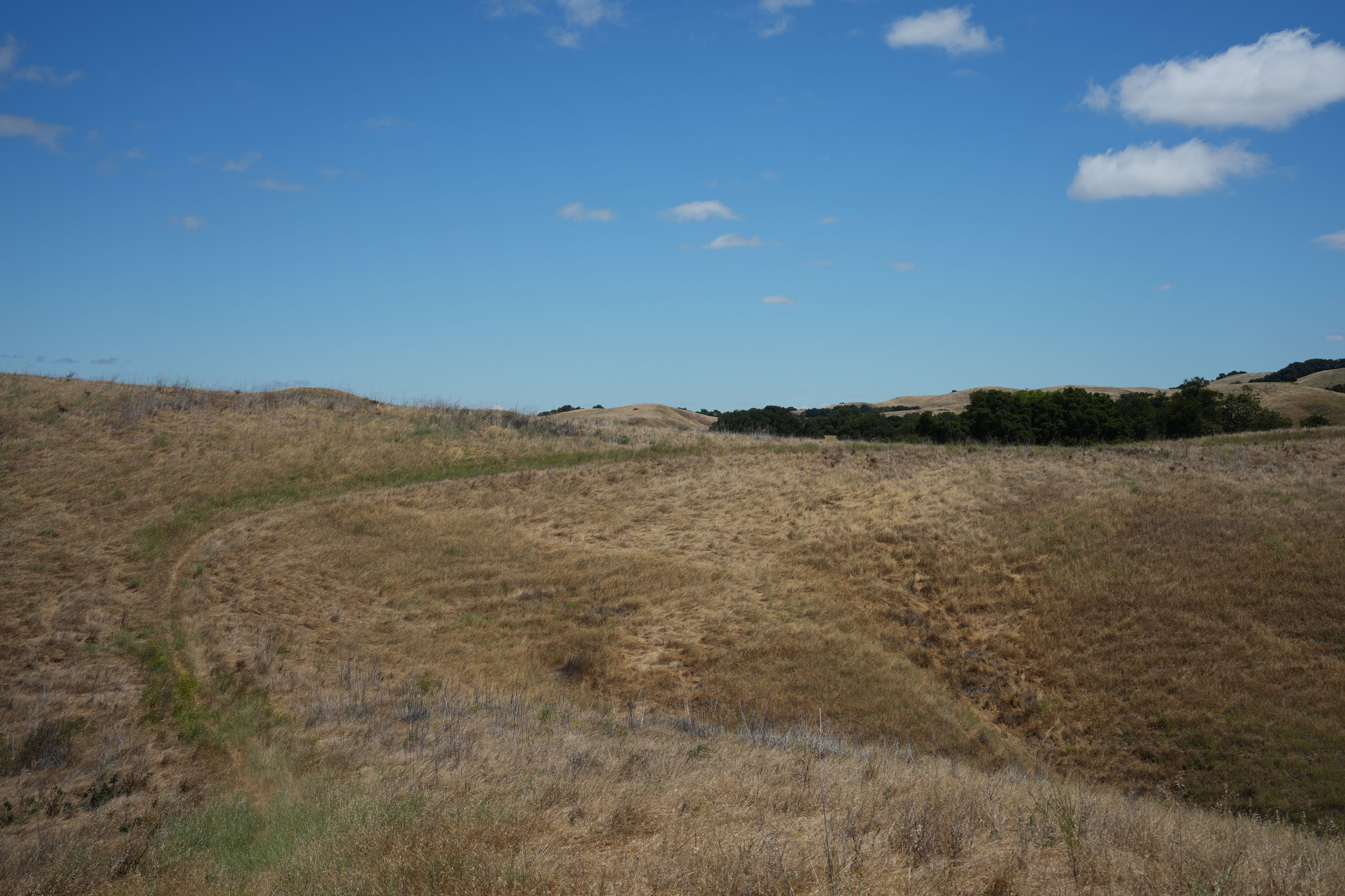 Briones Regional Park