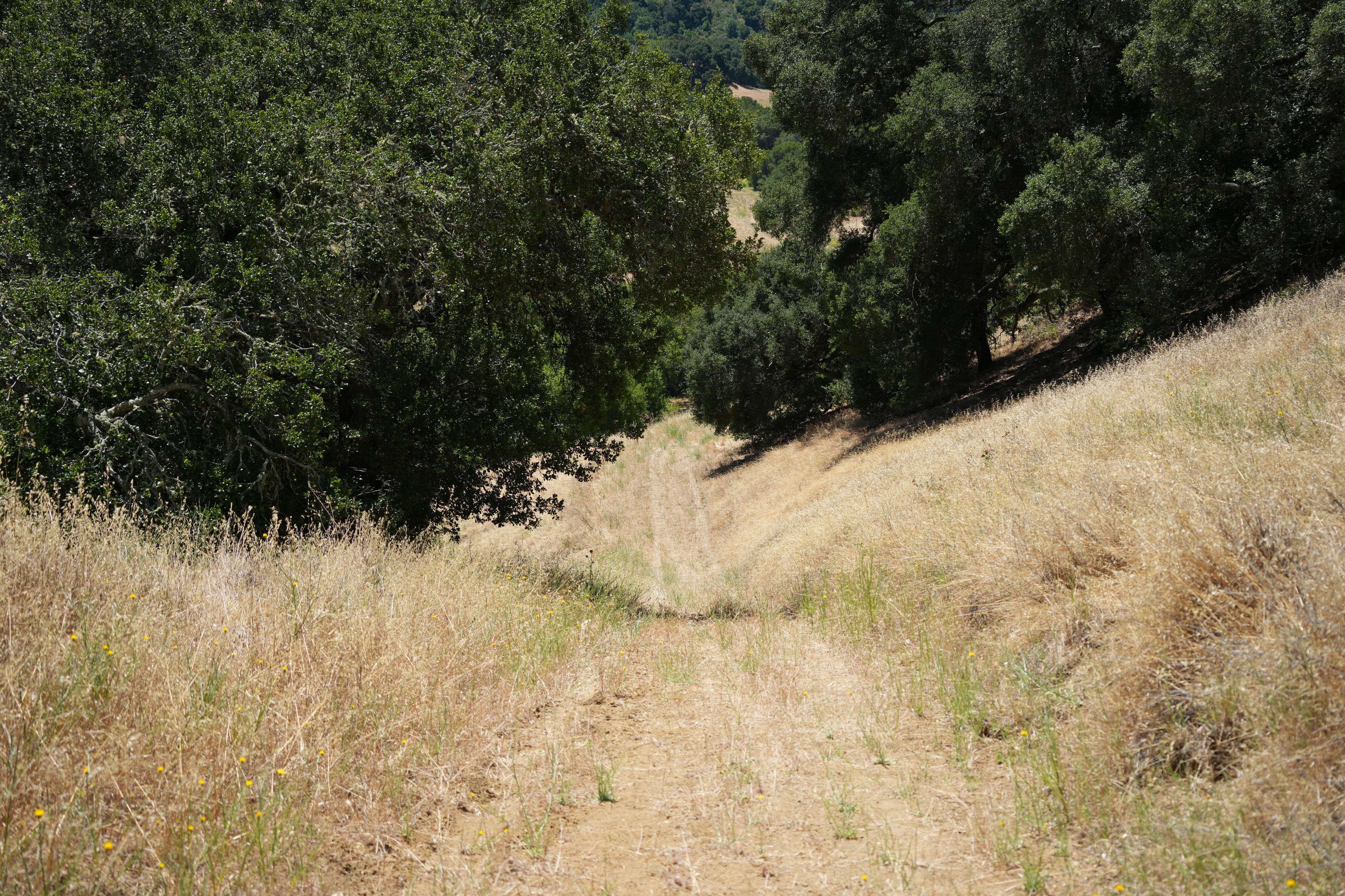 Briones Regional Park