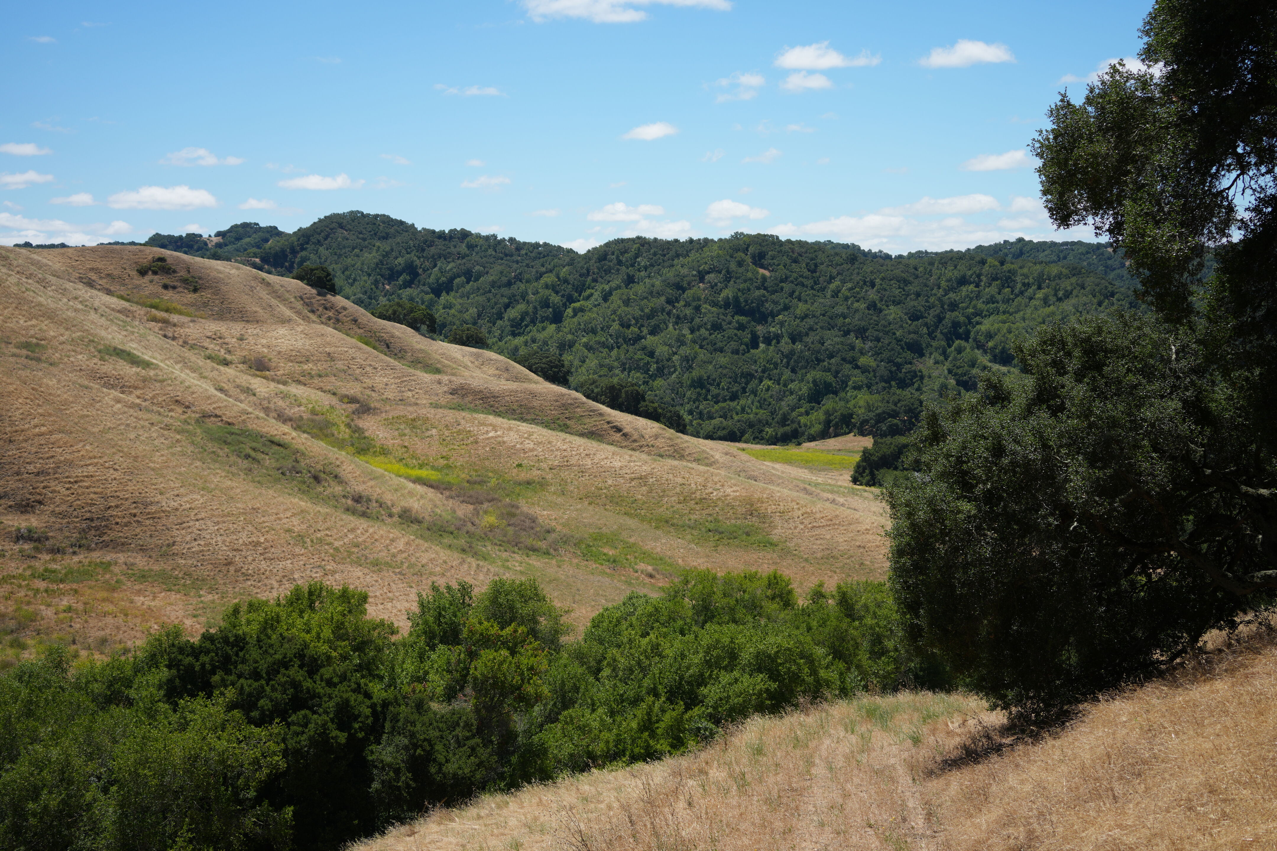 Briones Regional Park