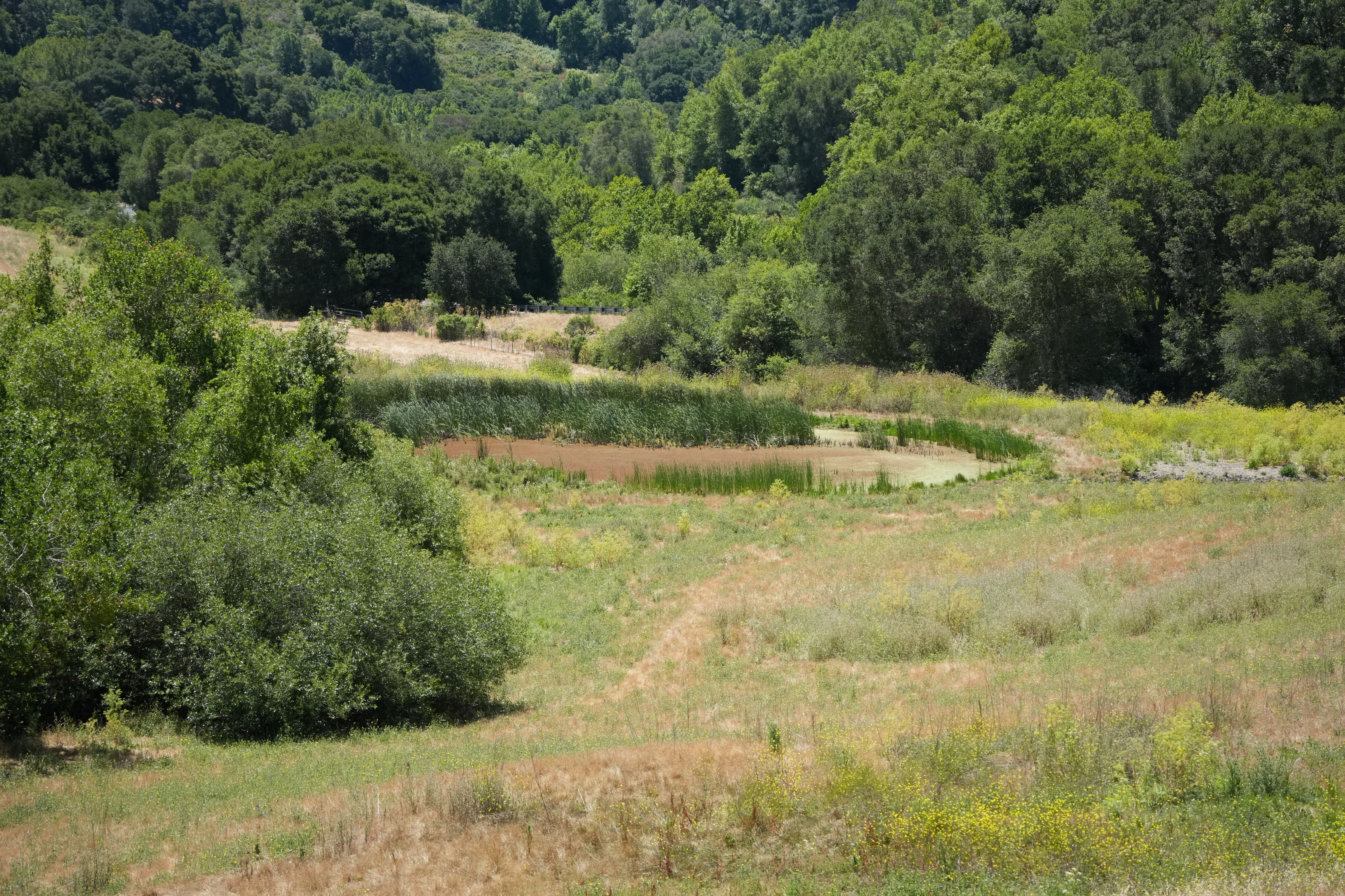 Briones Regional Park
