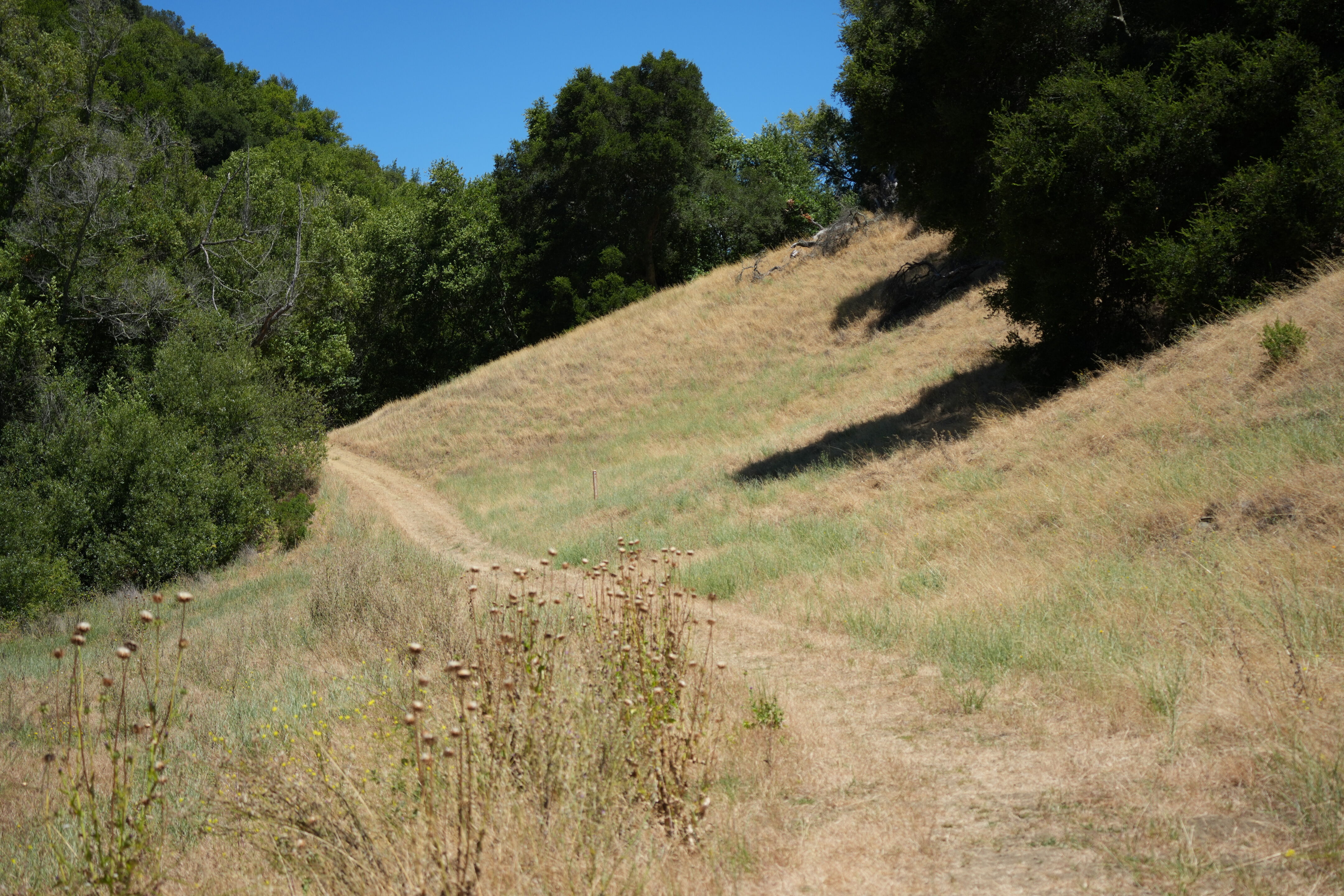 Briones Regional Park