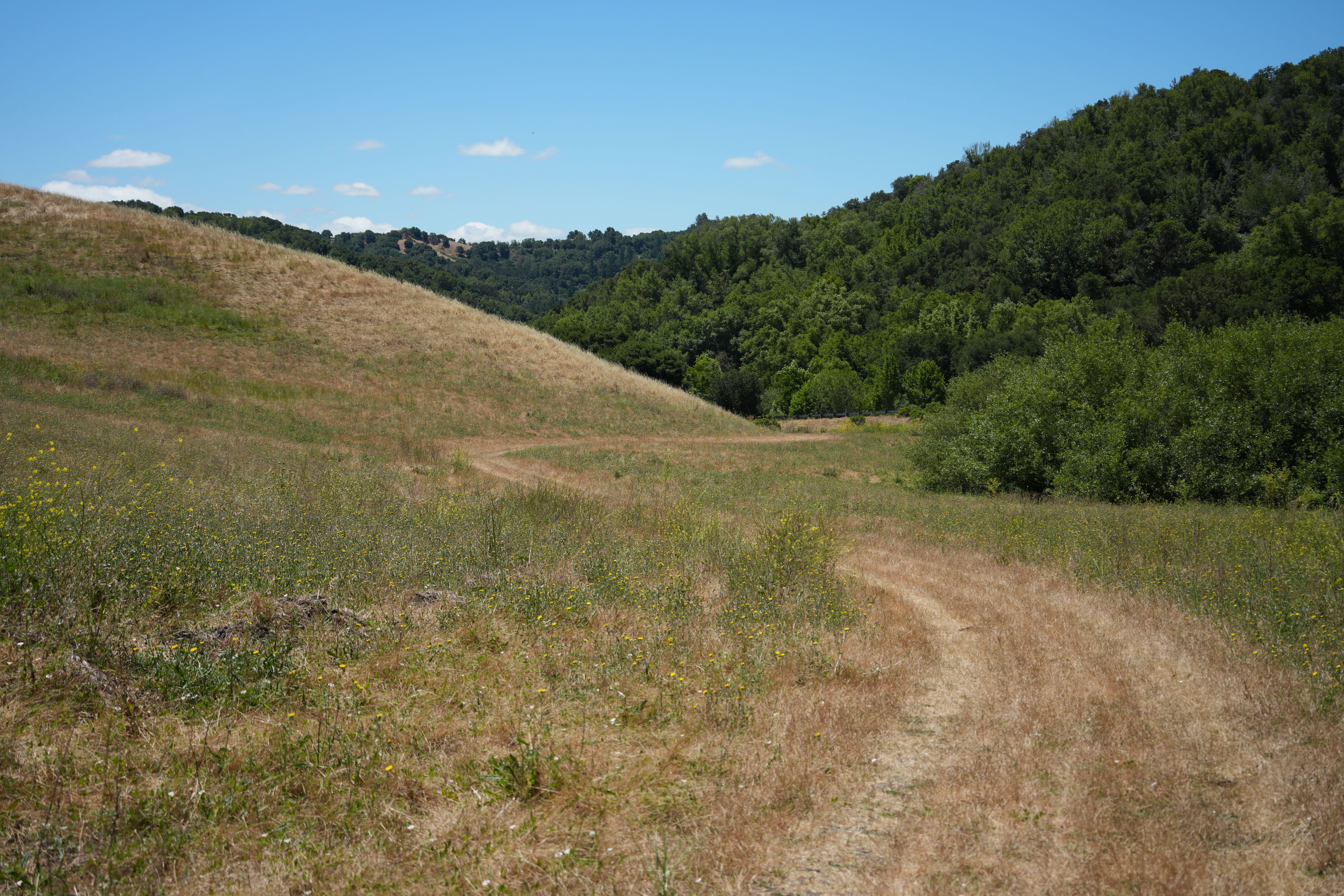 Briones Regional Park