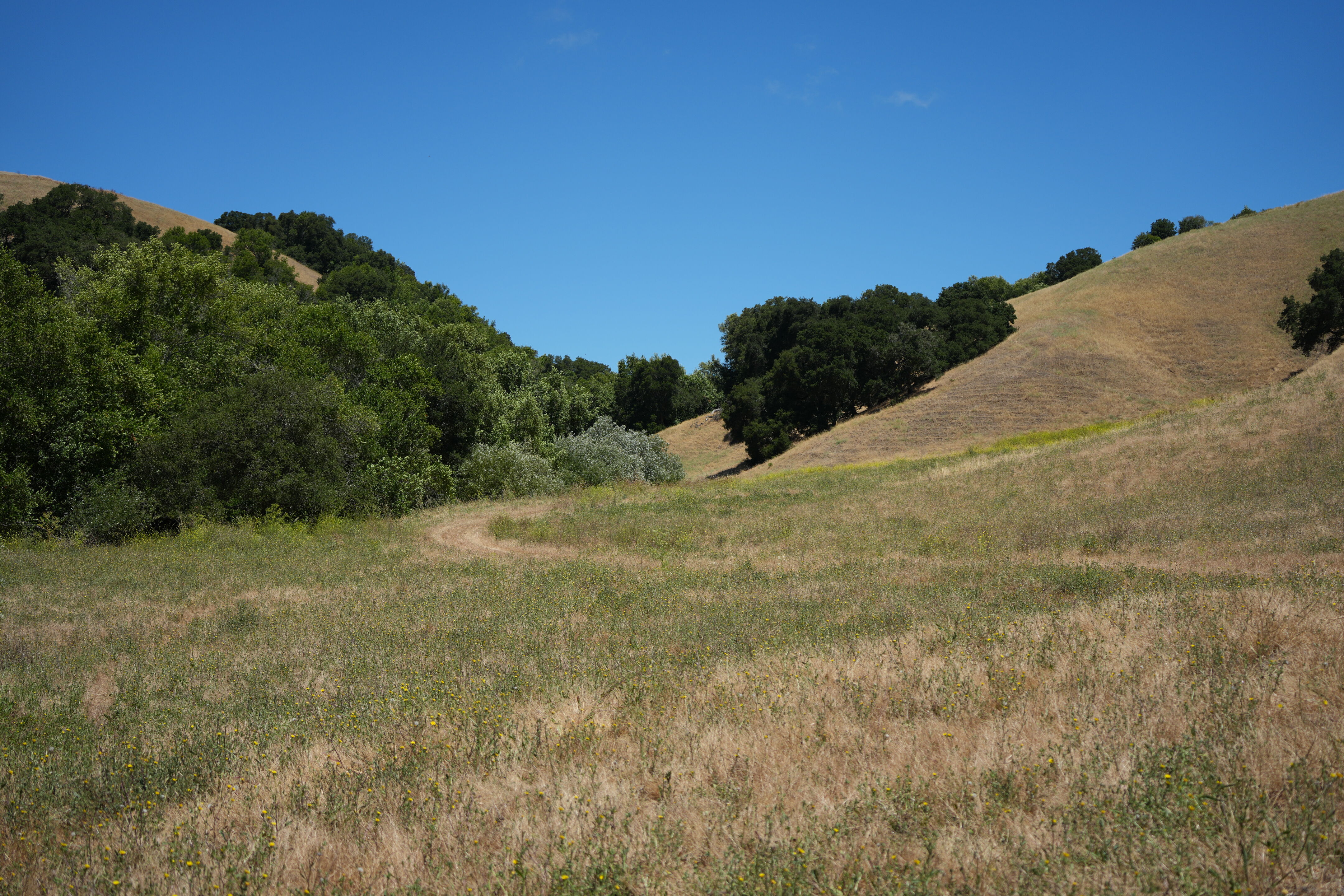 Briones Regional Park
