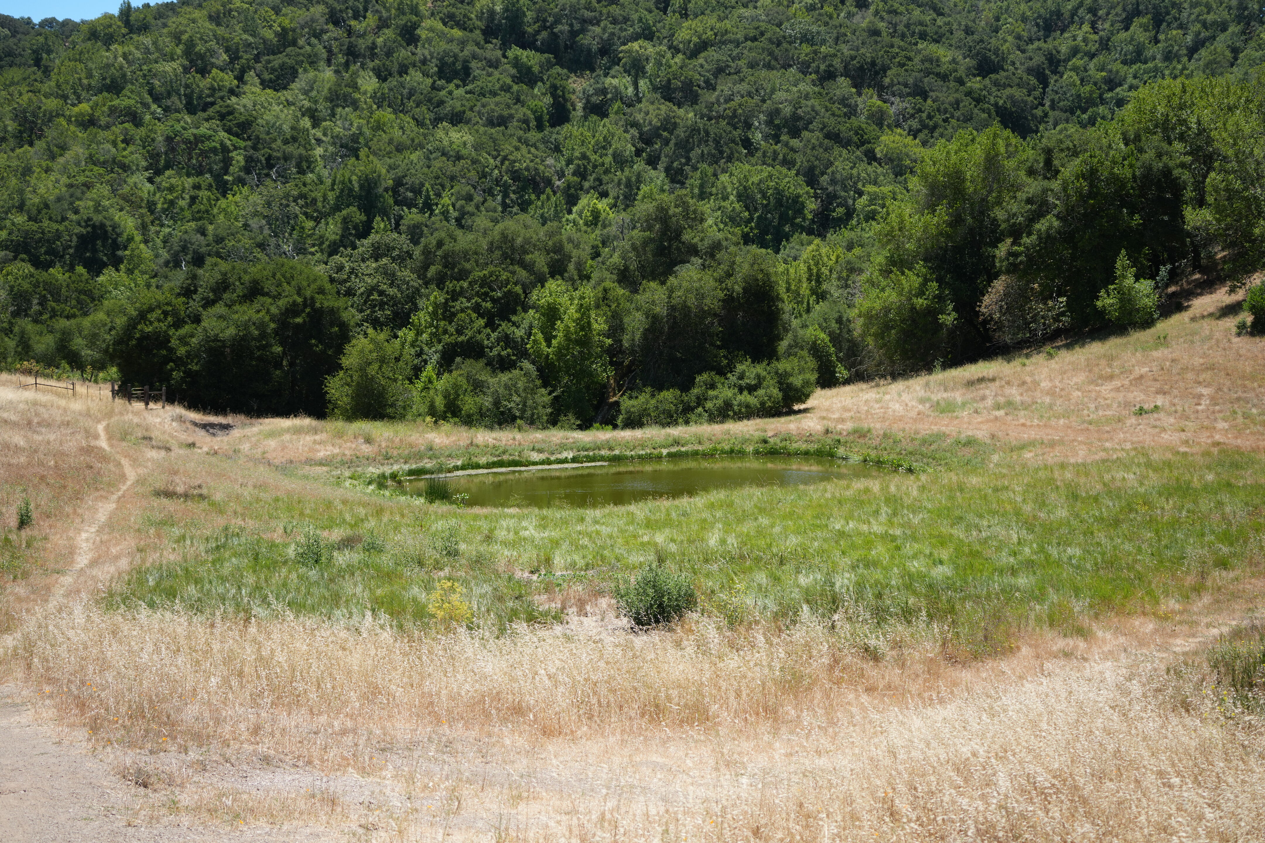 Briones Regional Park