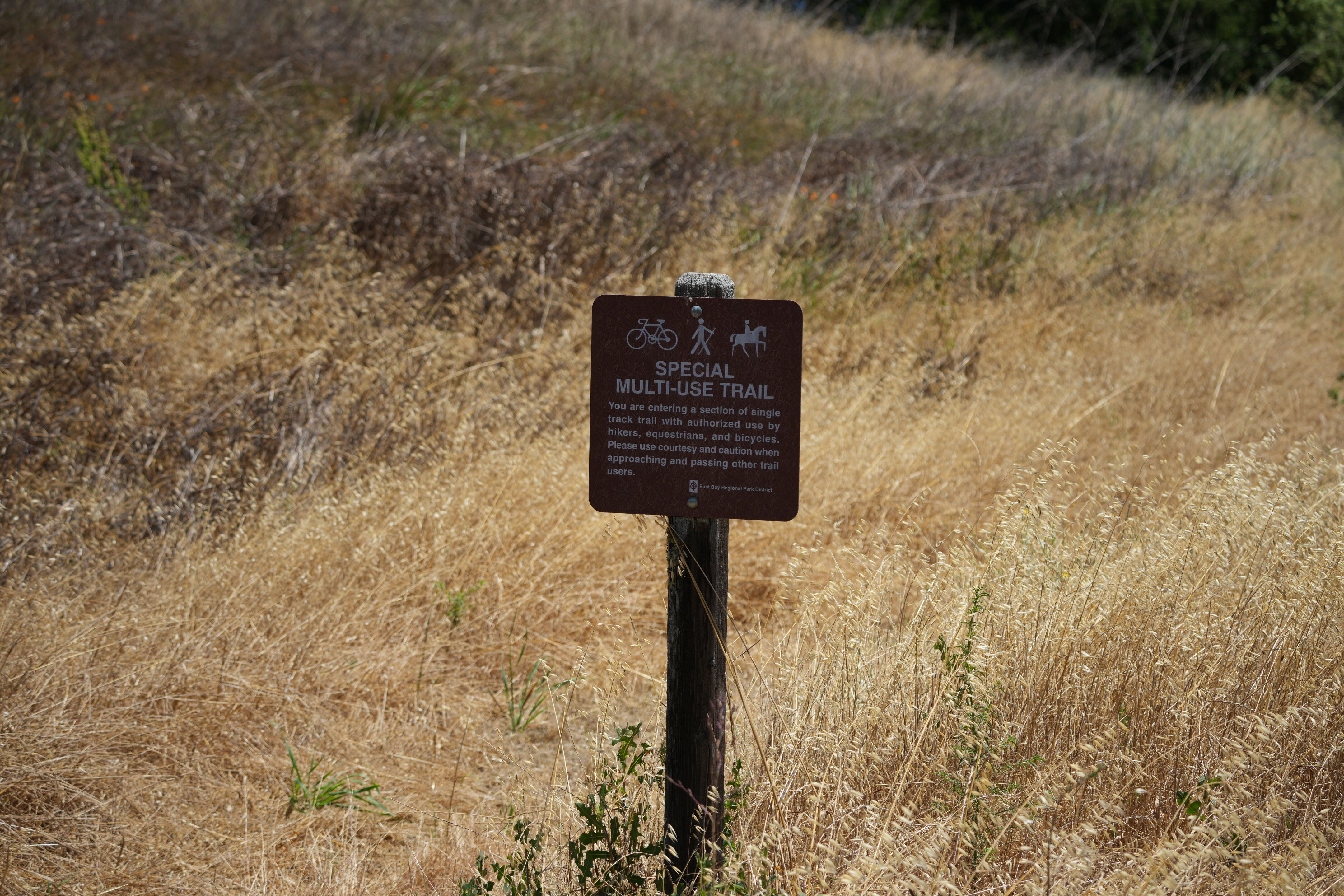 Briones Regional Park