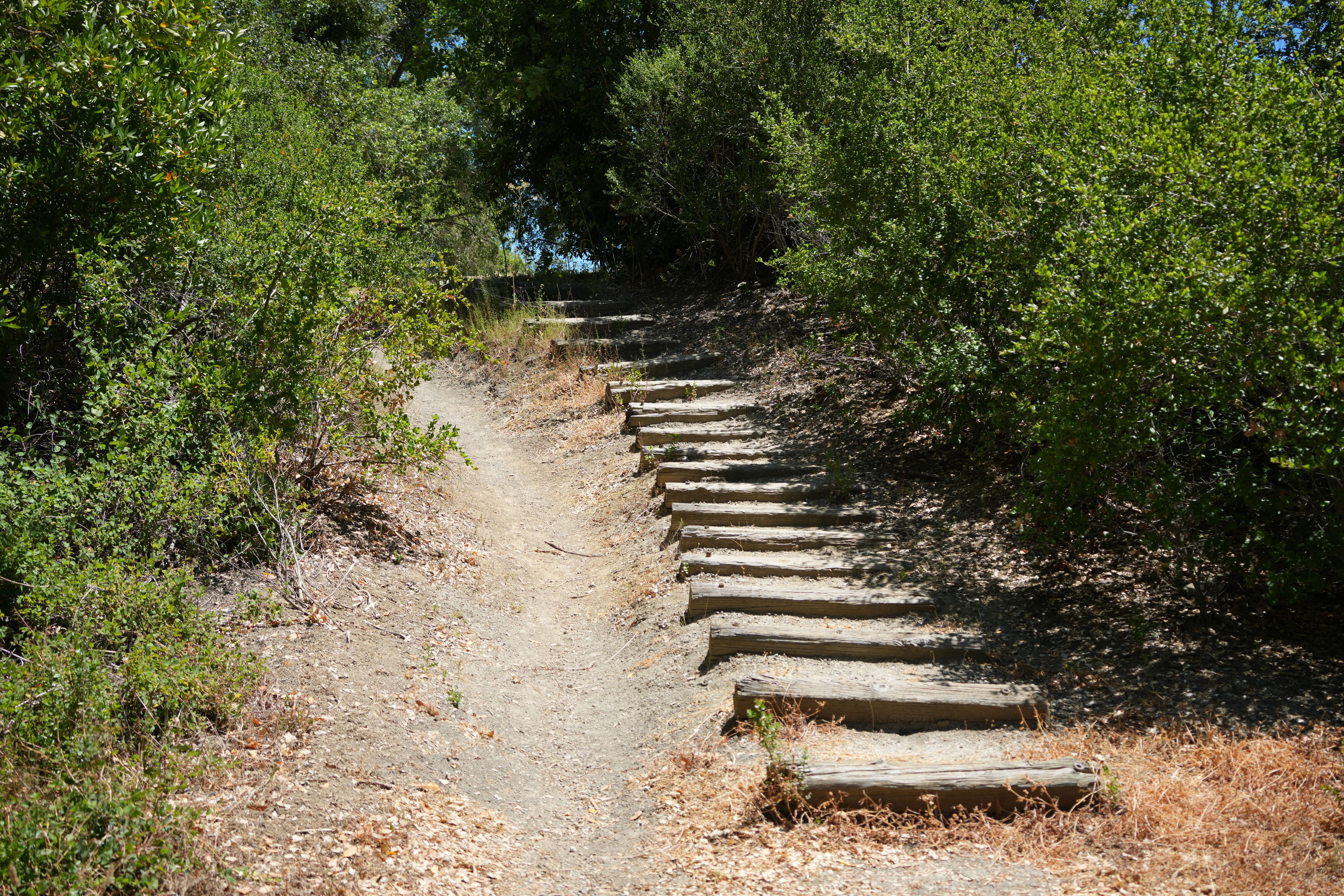 Briones Regional Park