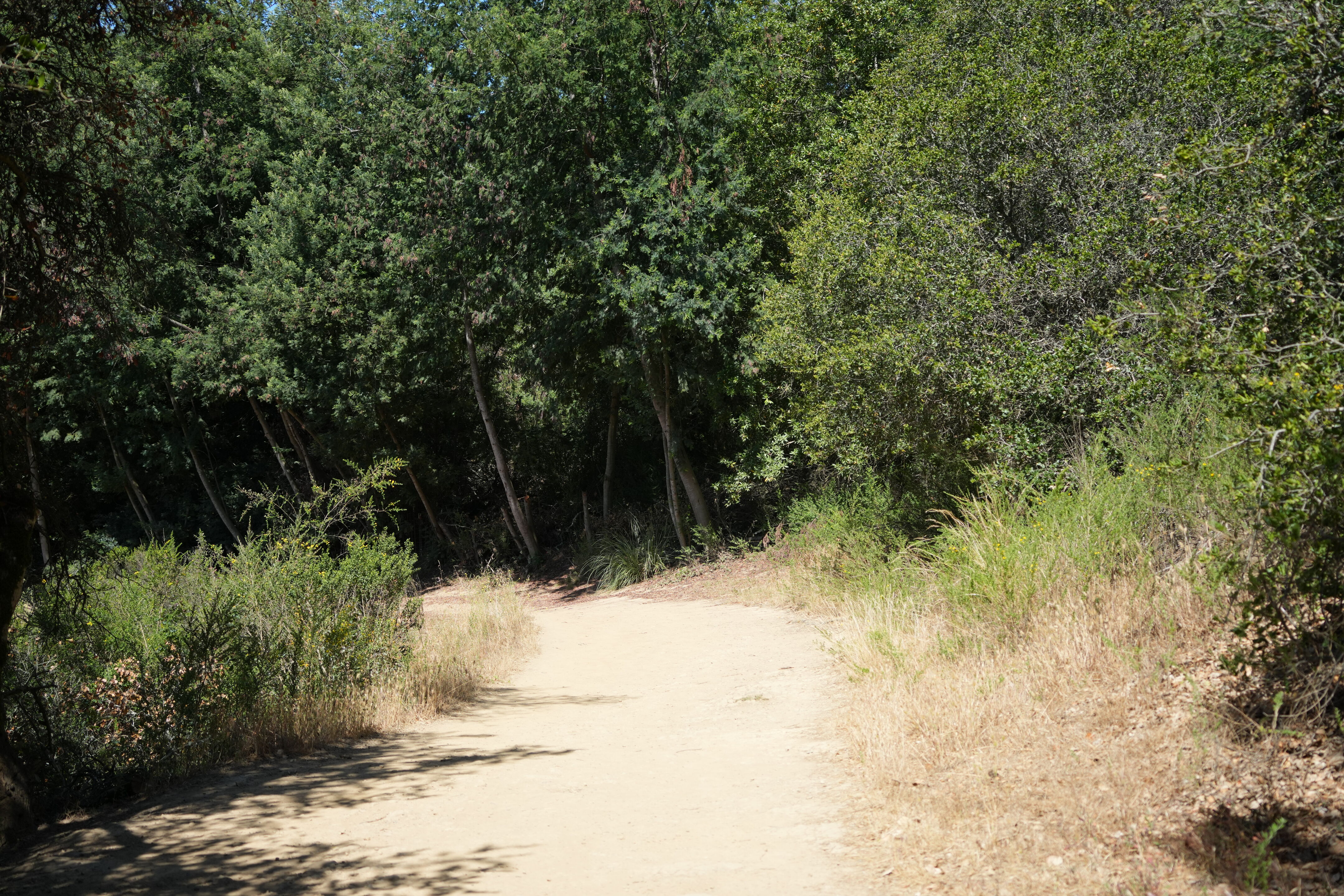 Roberts Regional Recreation Area