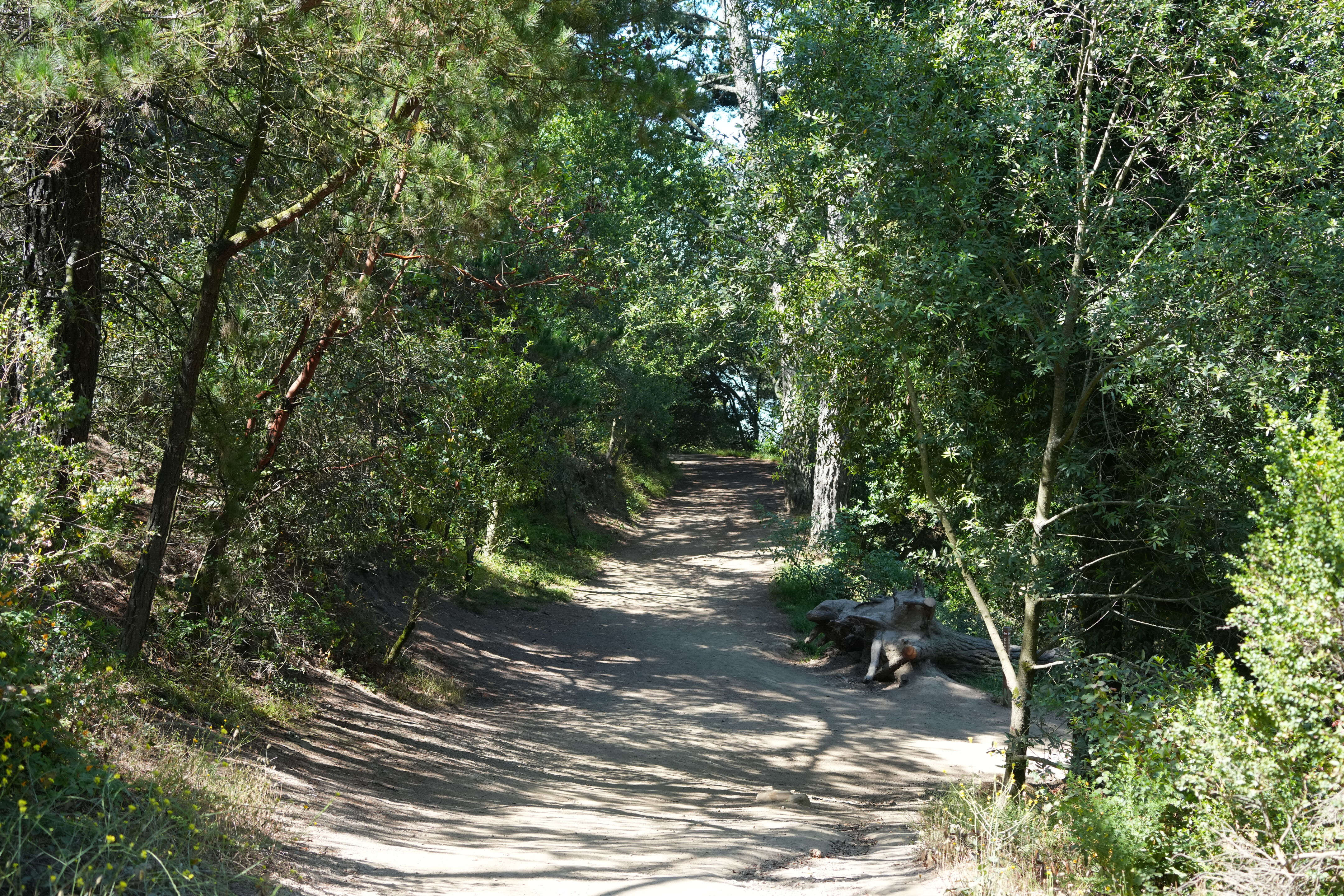 Roberts Regional Recreation Area