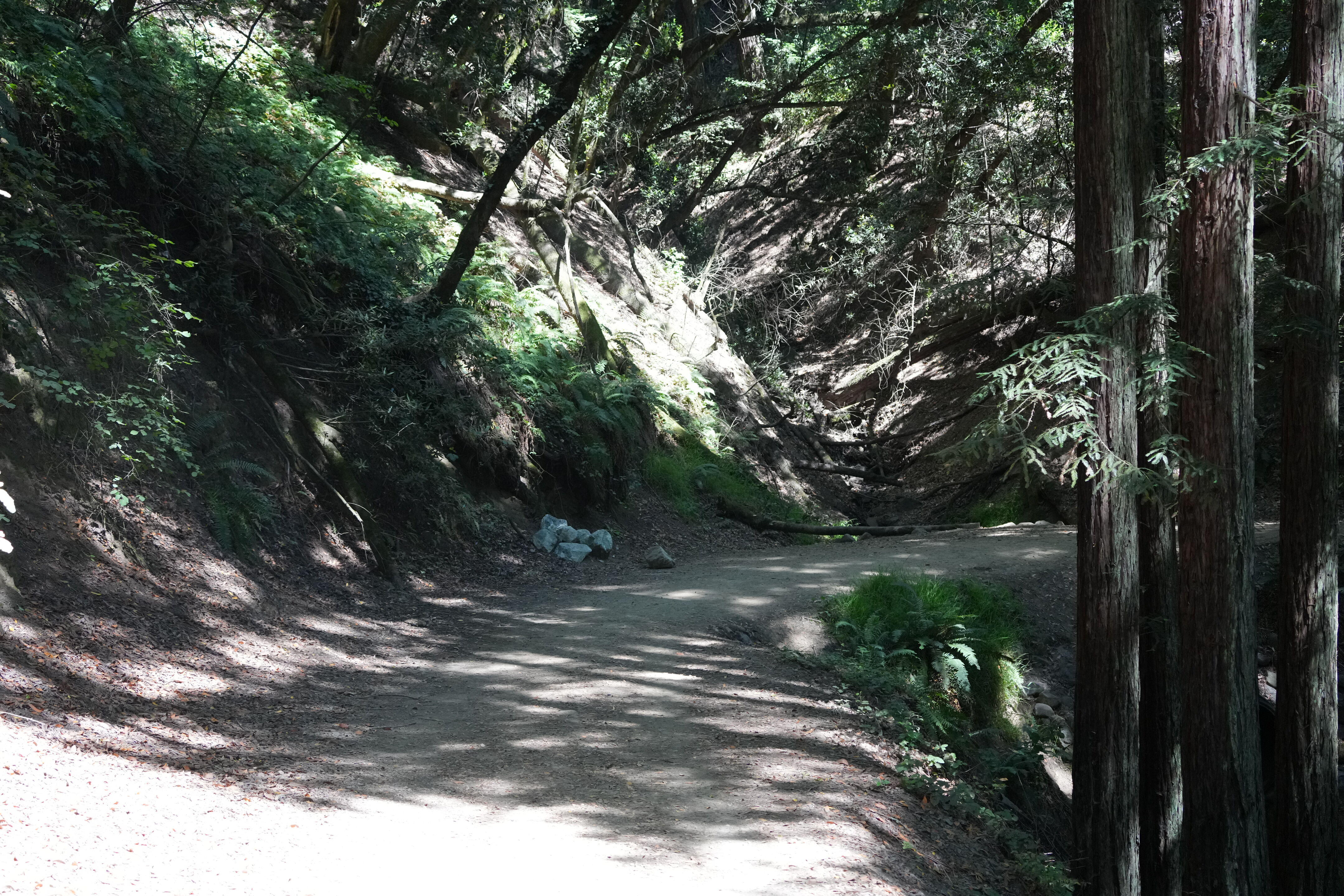 Roberts Regional Recreation Area