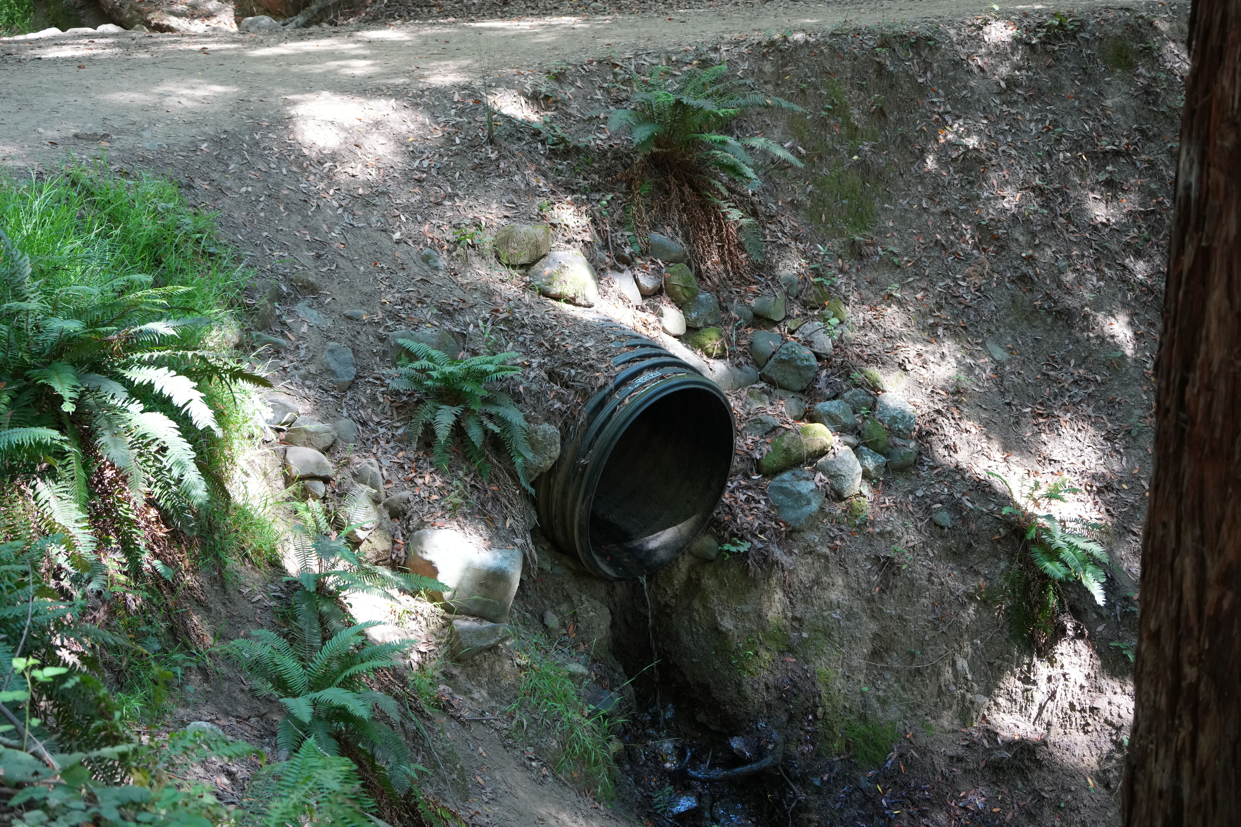 Roberts Regional Recreation Area