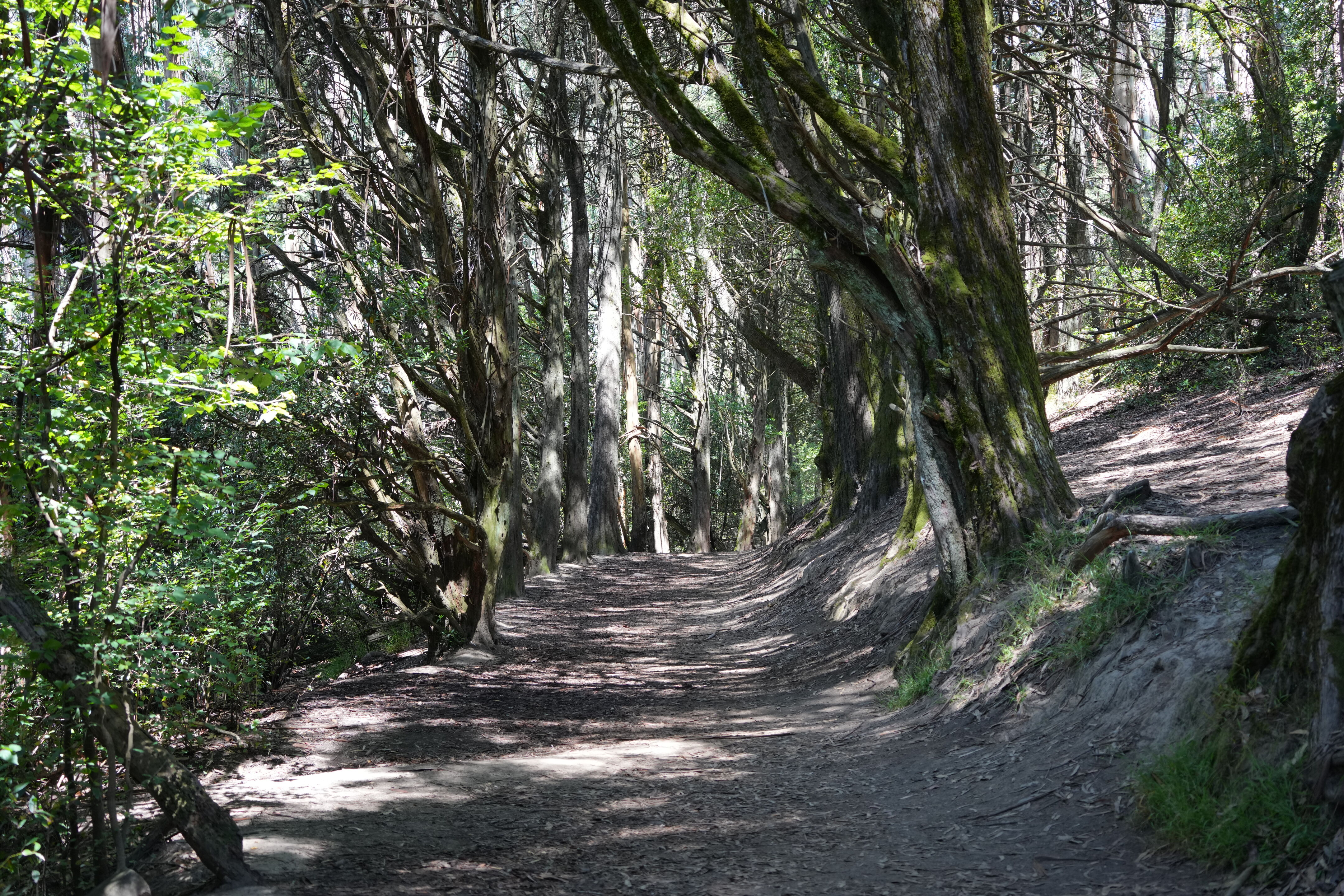 Roberts Regional Recreation Area