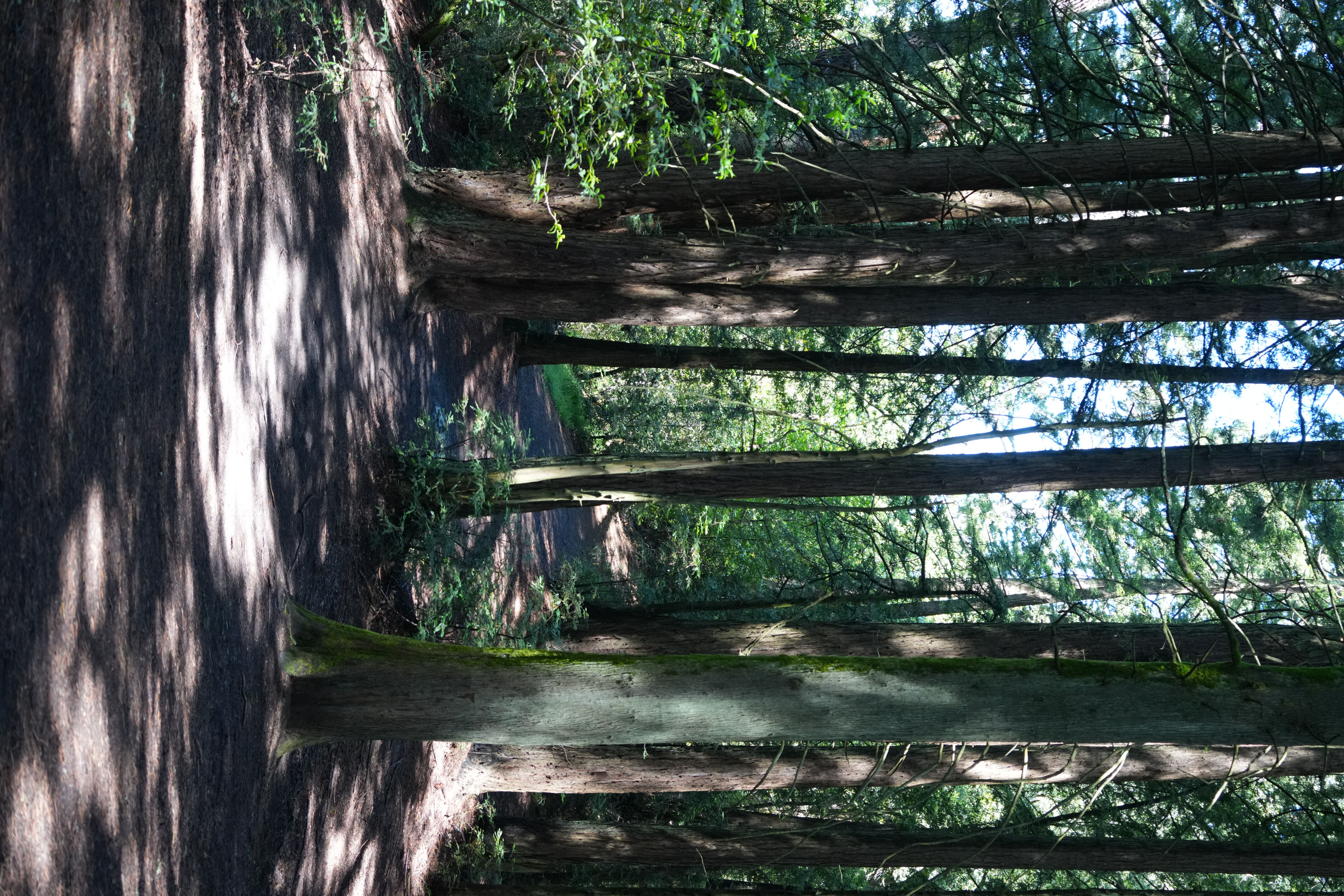 Roberts Regional Recreation Area