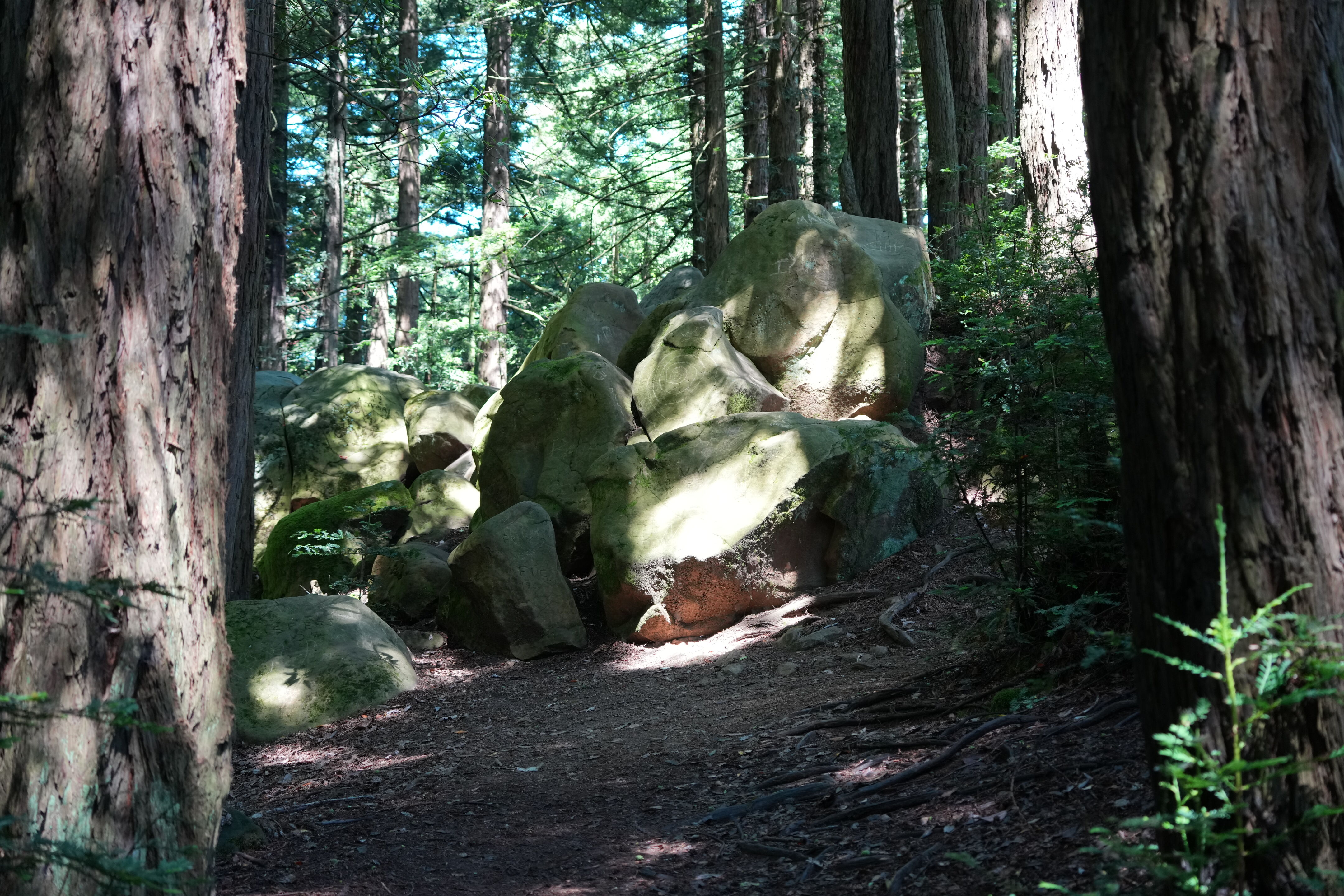 Roberts Regional Recreation Area