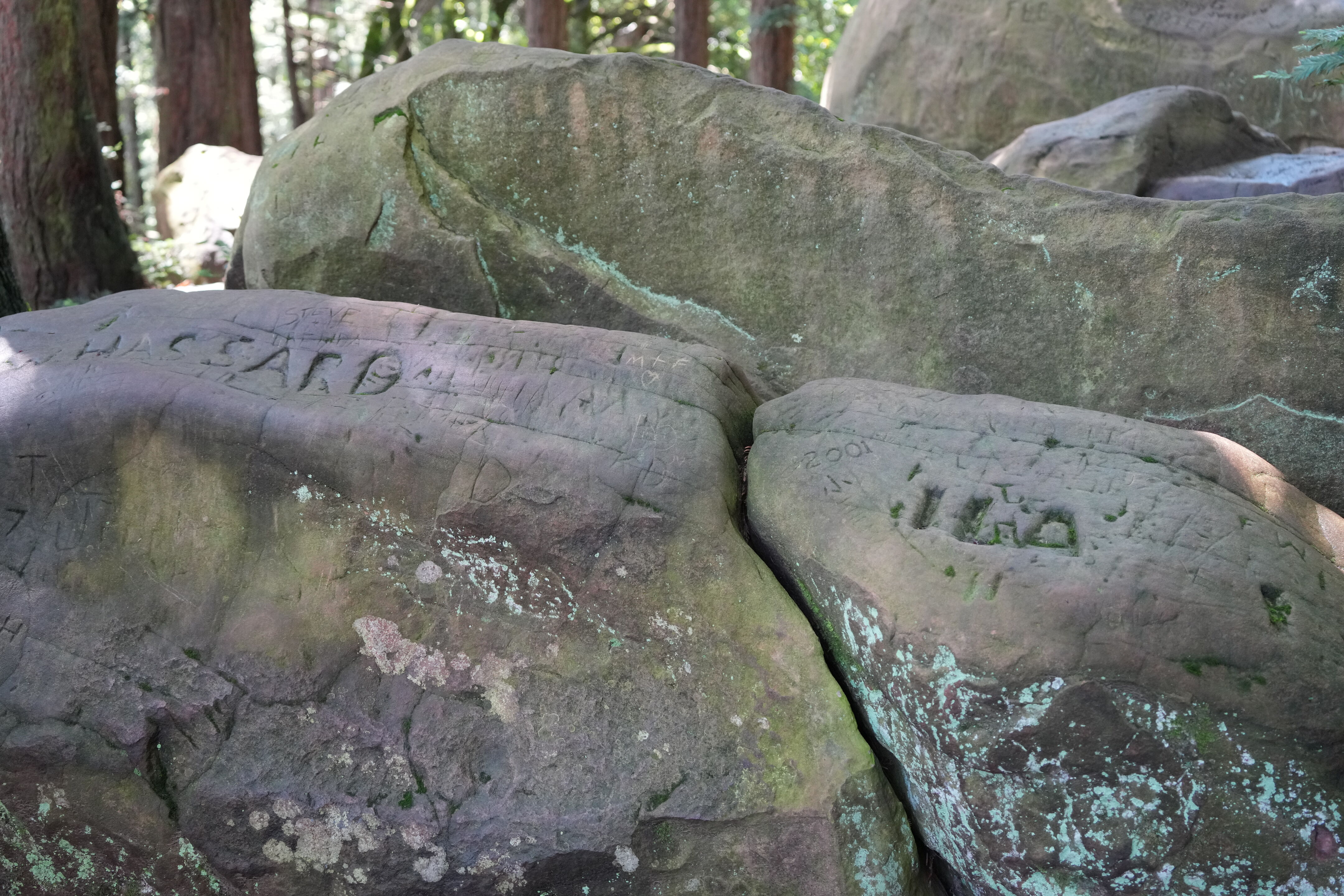 Roberts Regional Recreation Area