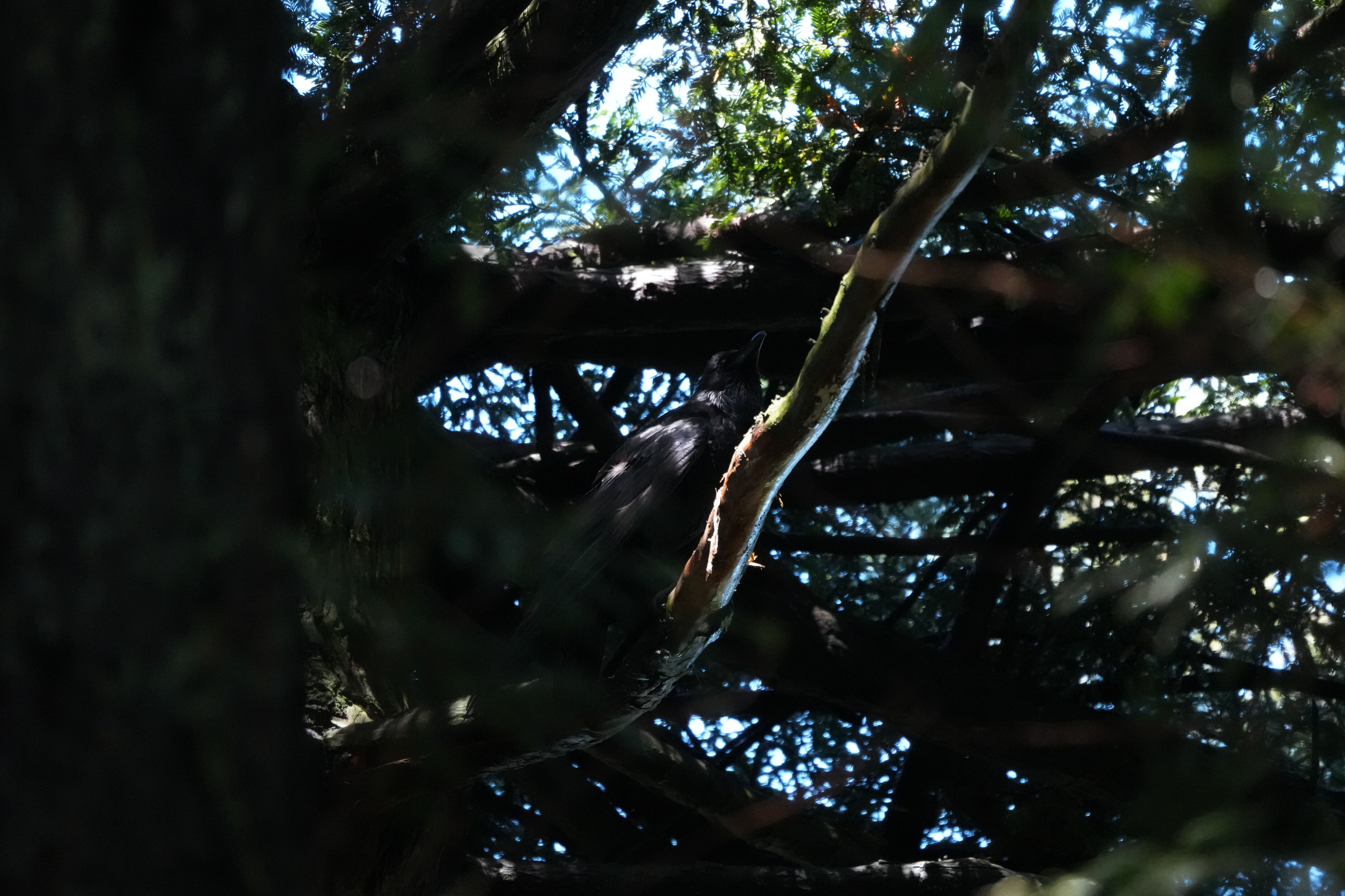 Roberts Regional Recreation Area