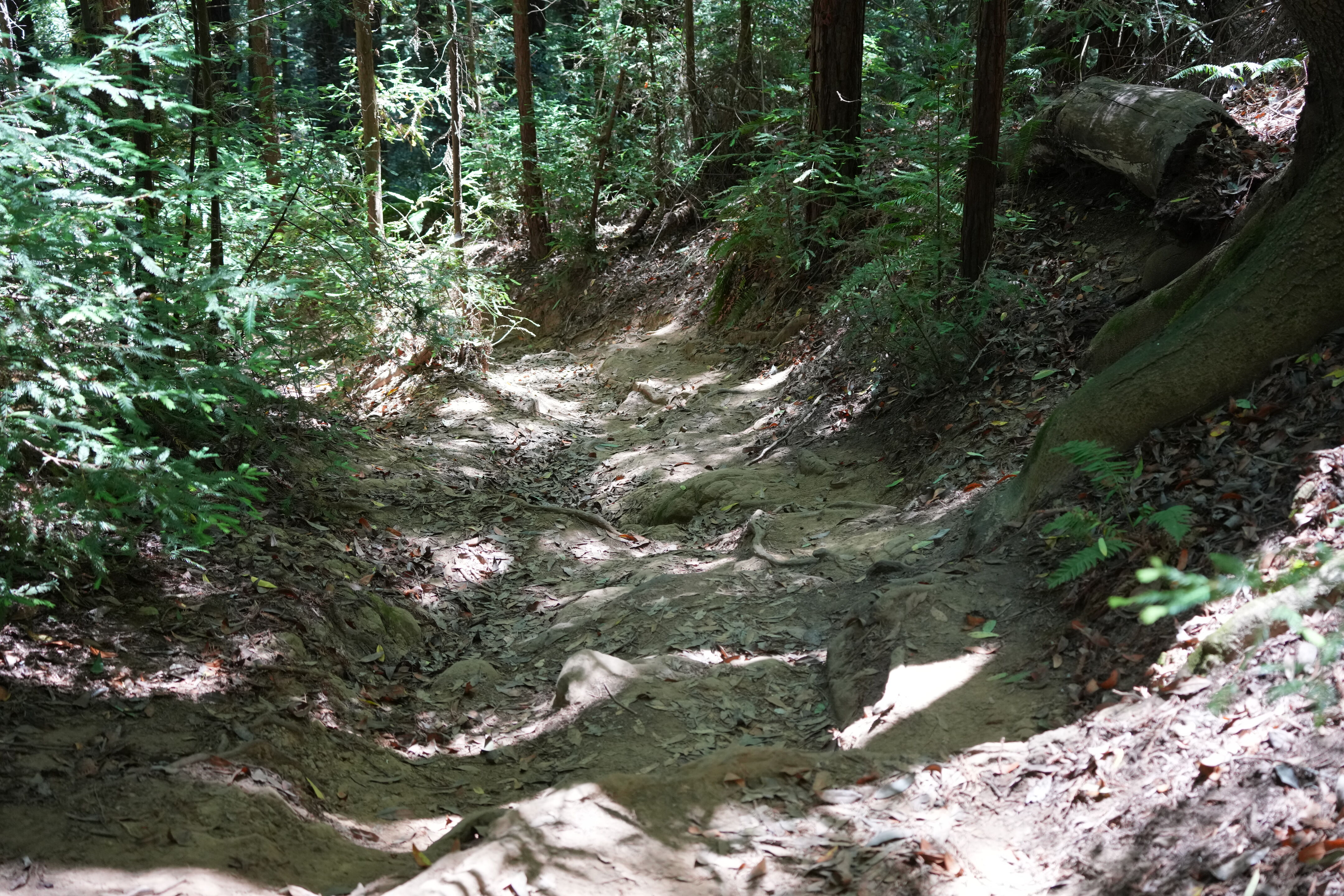 Roberts Regional Recreation Area