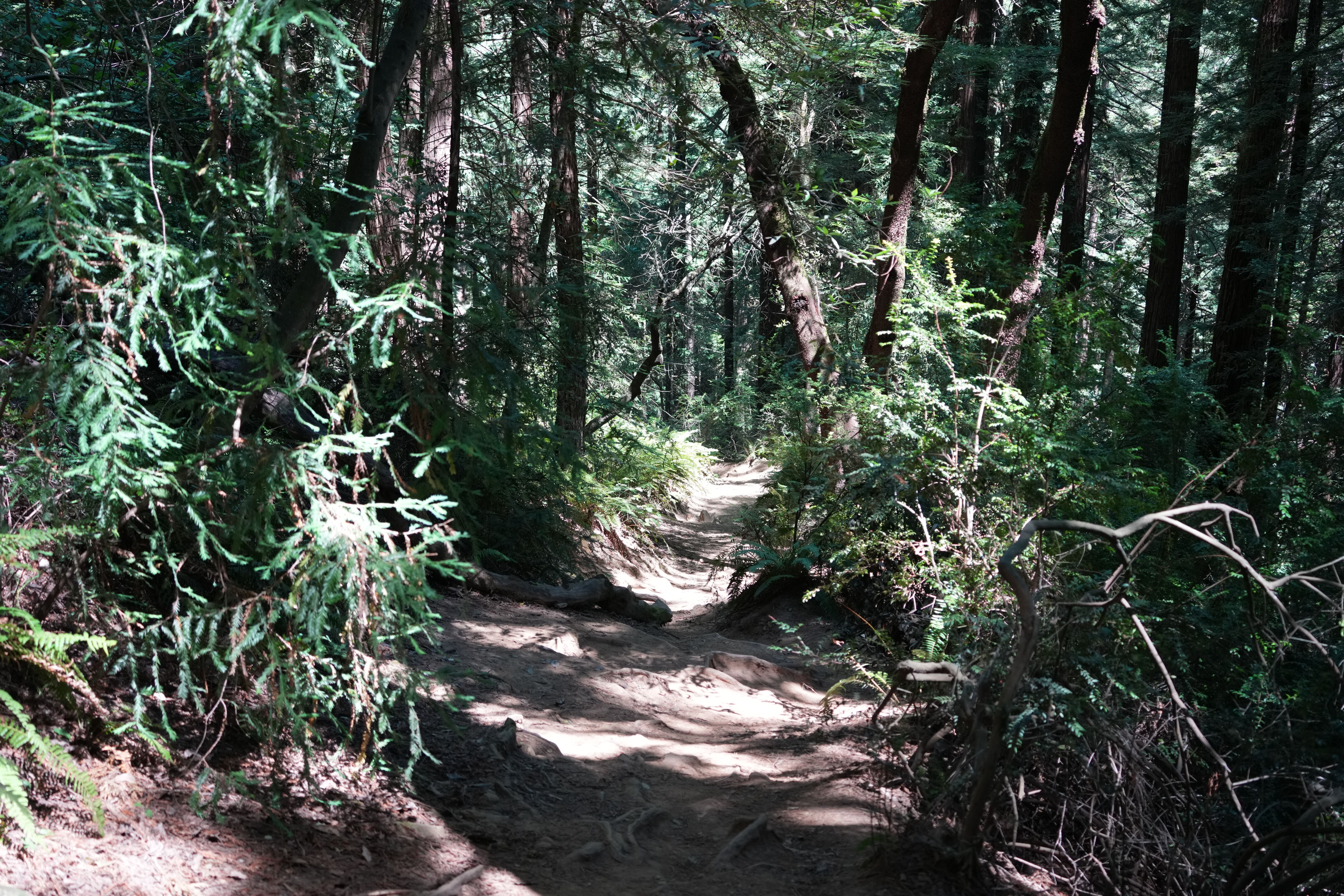Roberts Regional Recreation Area