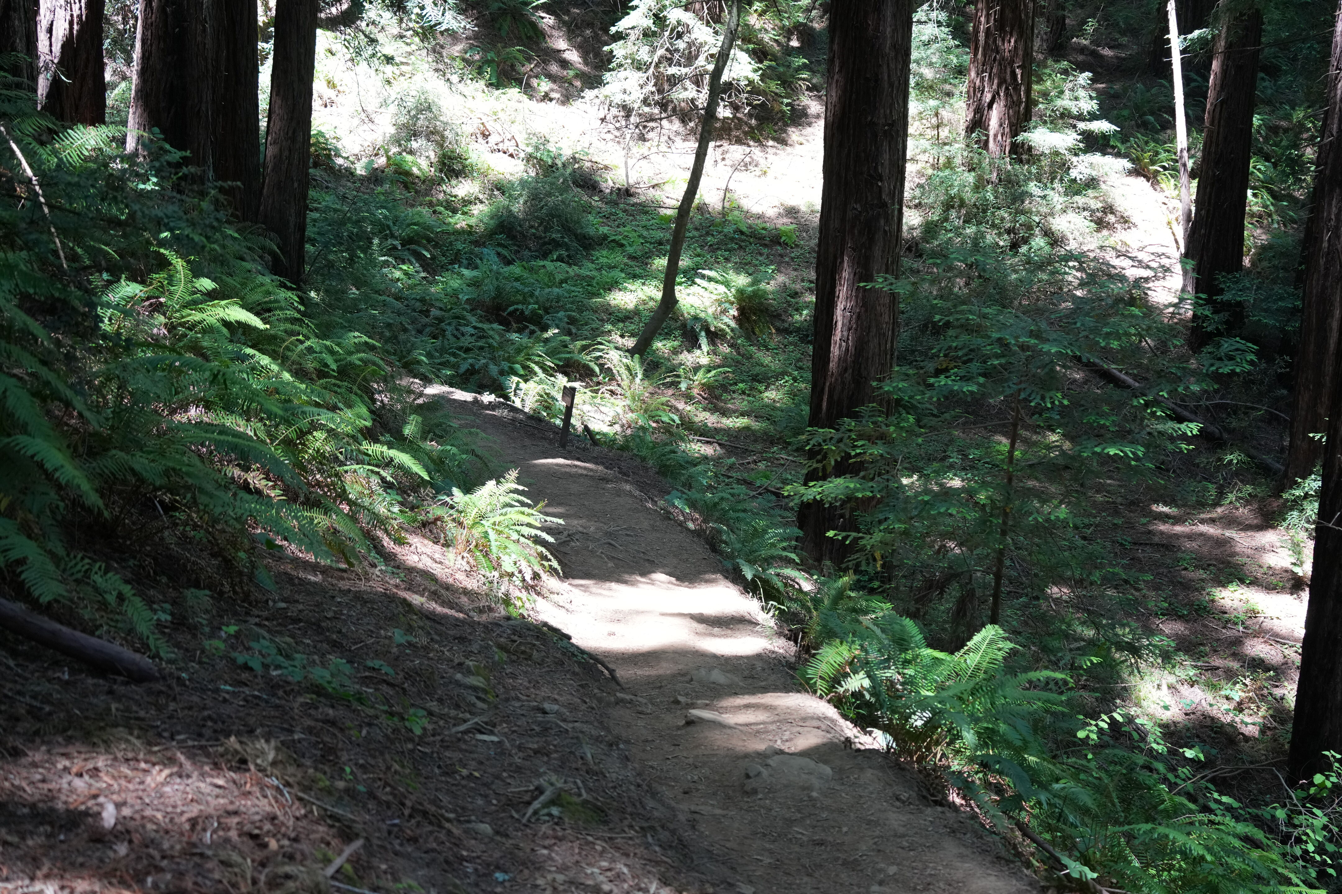 Roberts Regional Recreation Area