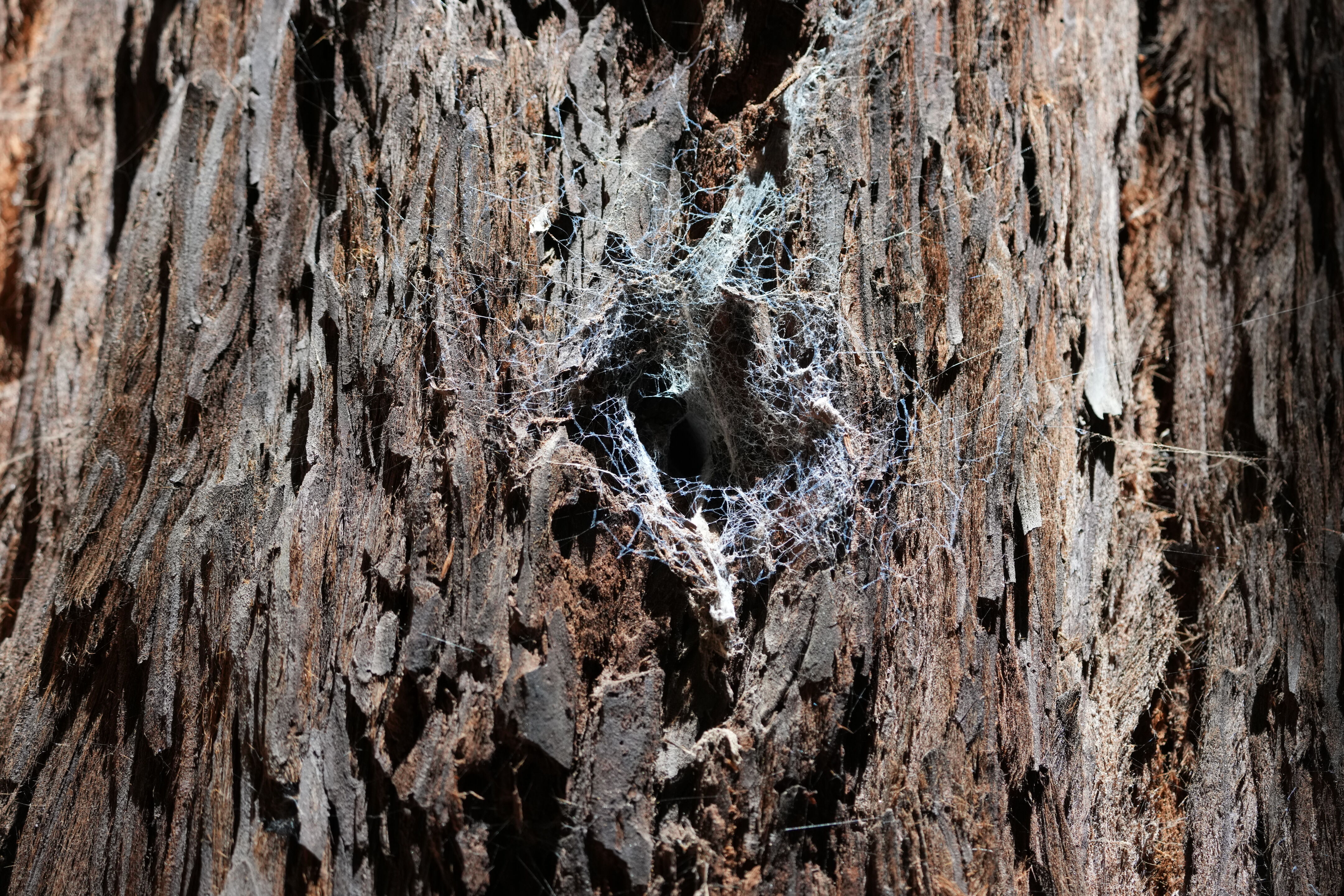 Roberts Regional Recreation Area