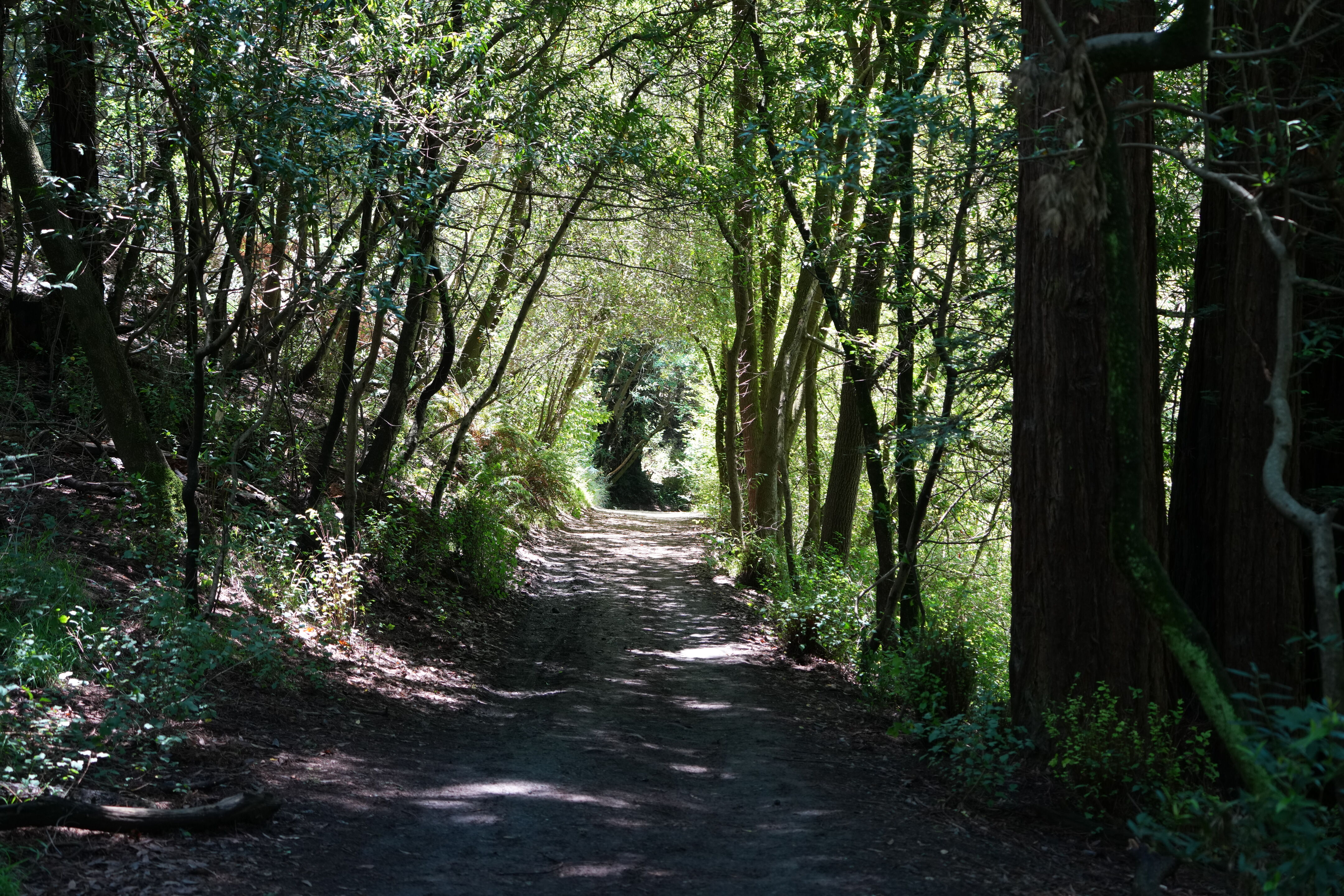 Roberts Regional Recreation Area